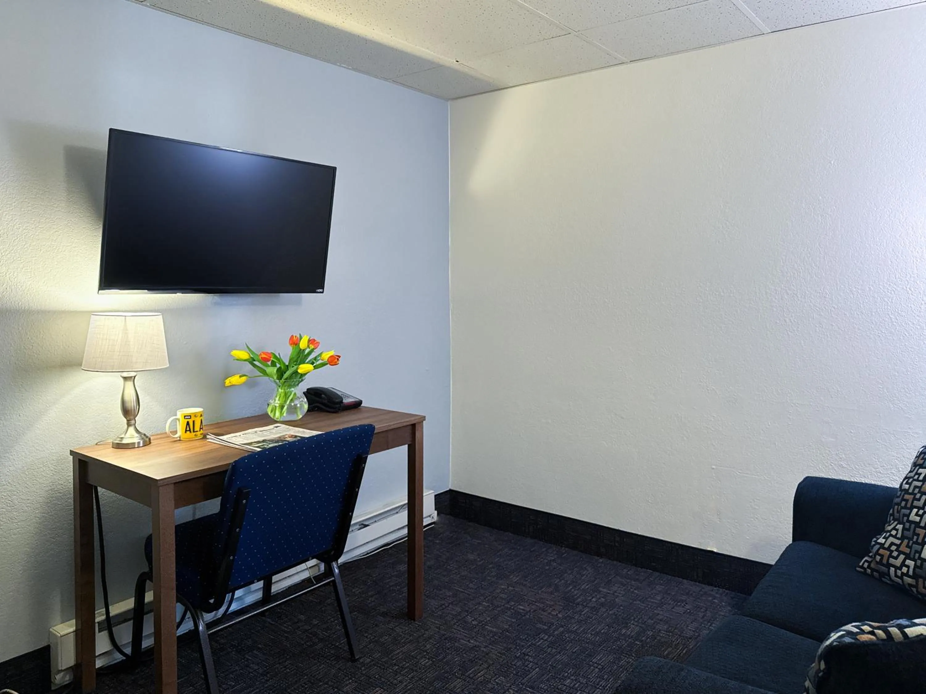 TV and multimedia in Golden North Inn