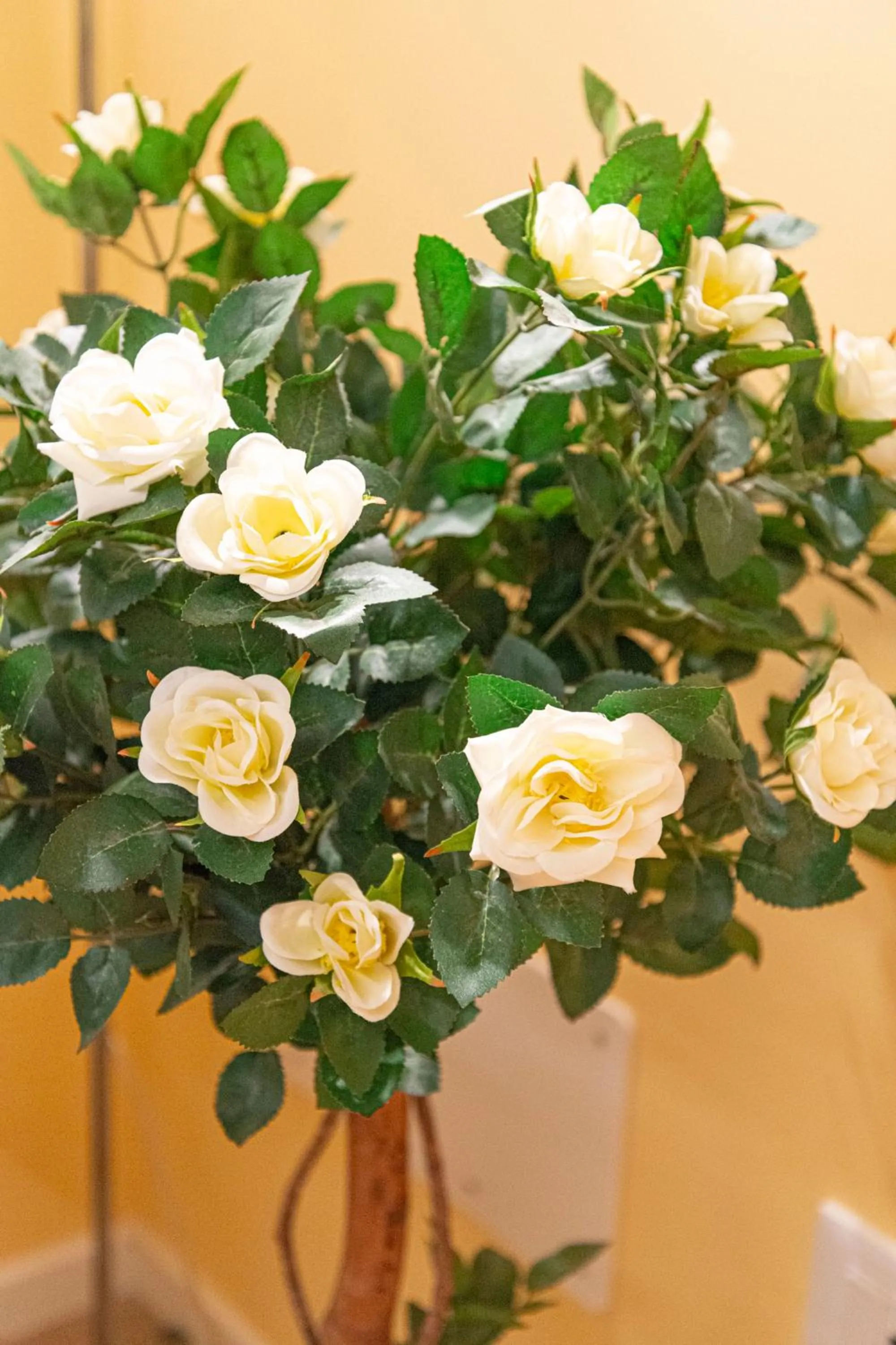 Decorative detail in B&B Da Nina Venice