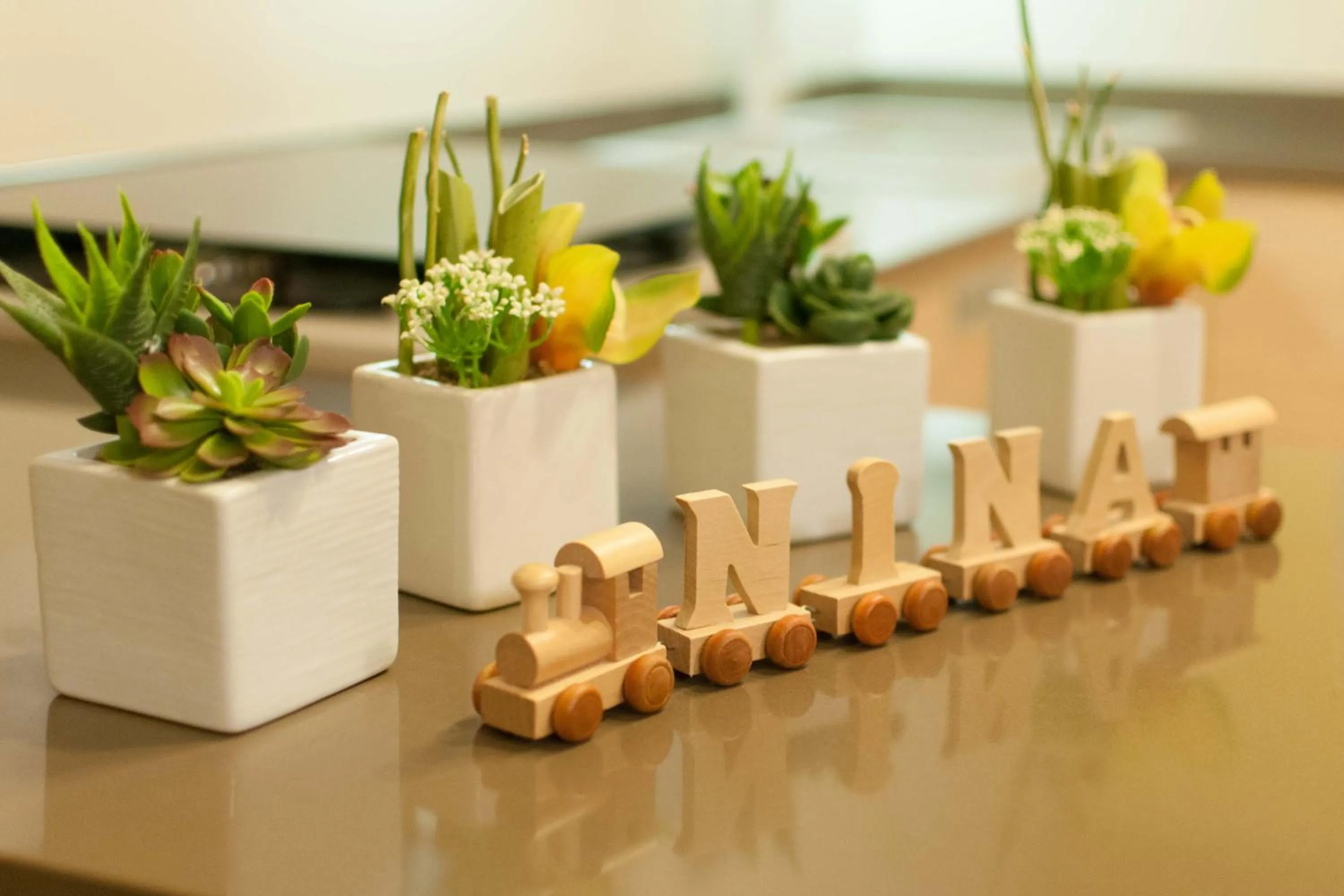 Logo/Certificate/Sign in B&B Da Nina Venice