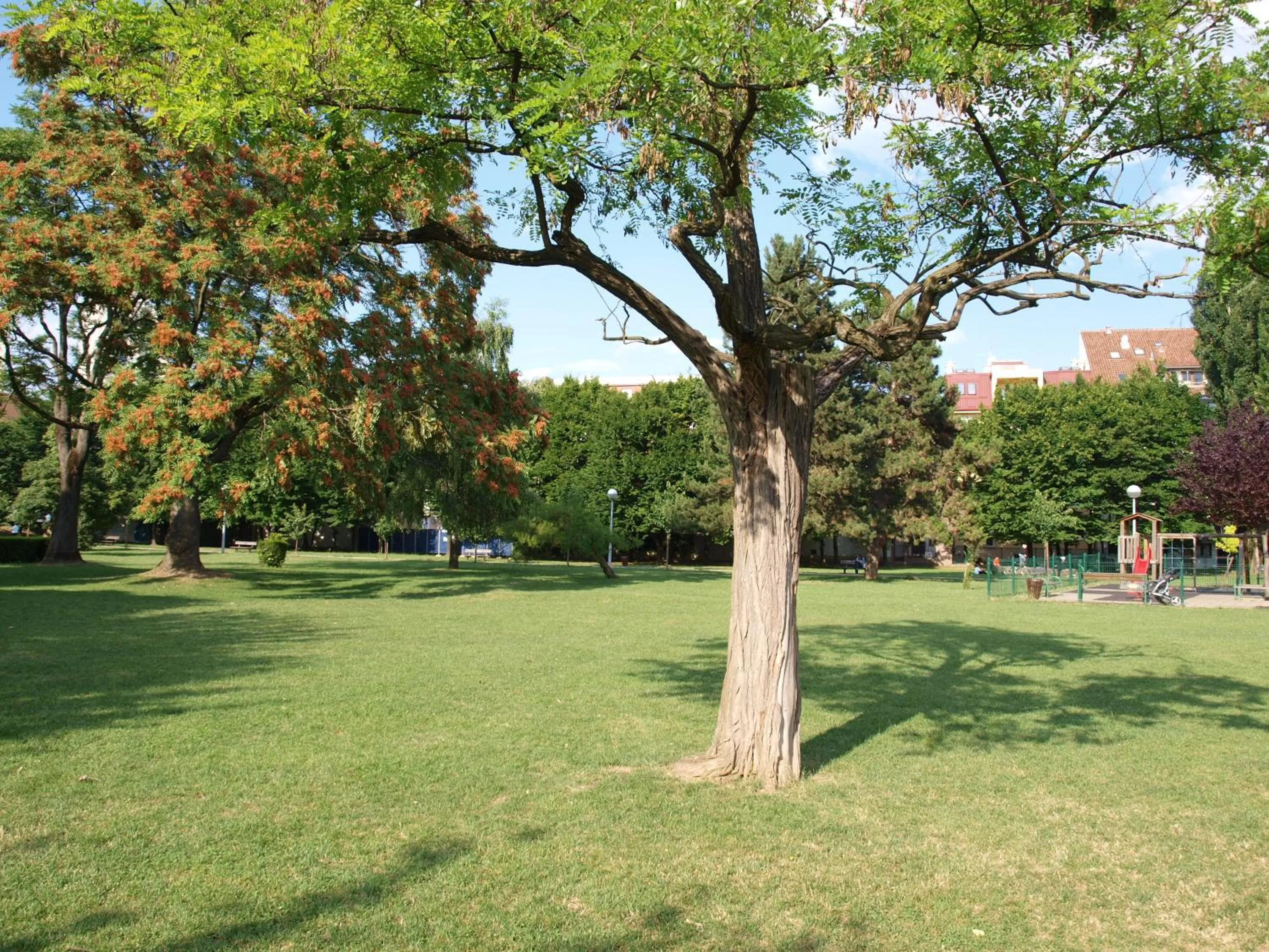 Neighbourhood in Apartment Witty Please