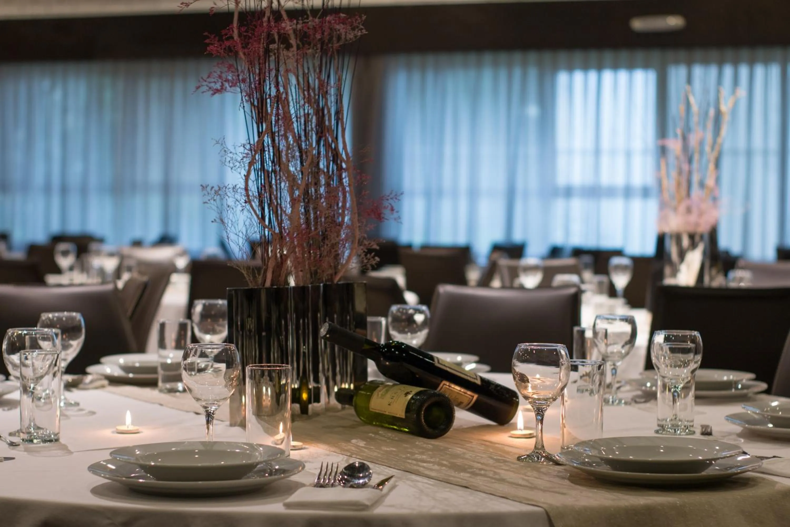 Banquet/Function facilities in Zepter Hotel Drina Bajina Basta, member of Zepter Hotels