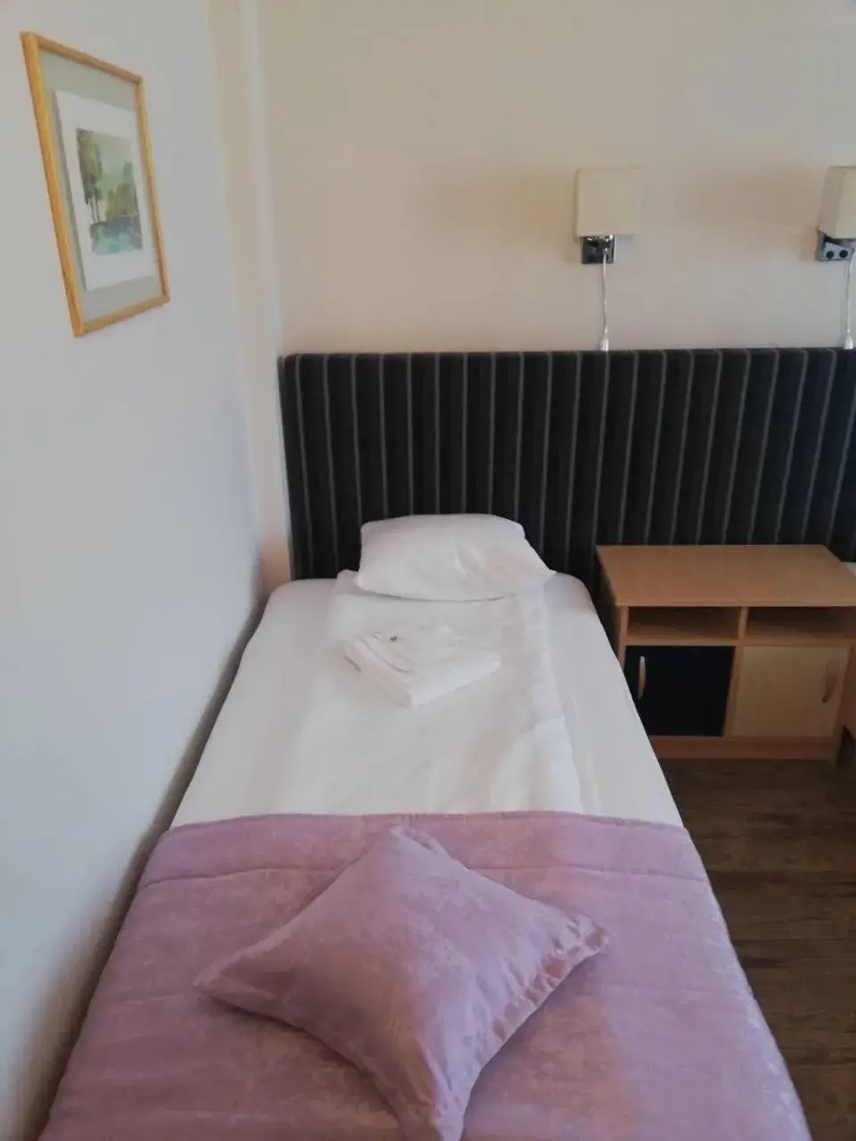 Single Room in Zepter Hotel Drina Bajina Basta, member of Zepter Hotels Single Room in Zepter Hotel Drina Bajina Basta, member of Zepter Hotels