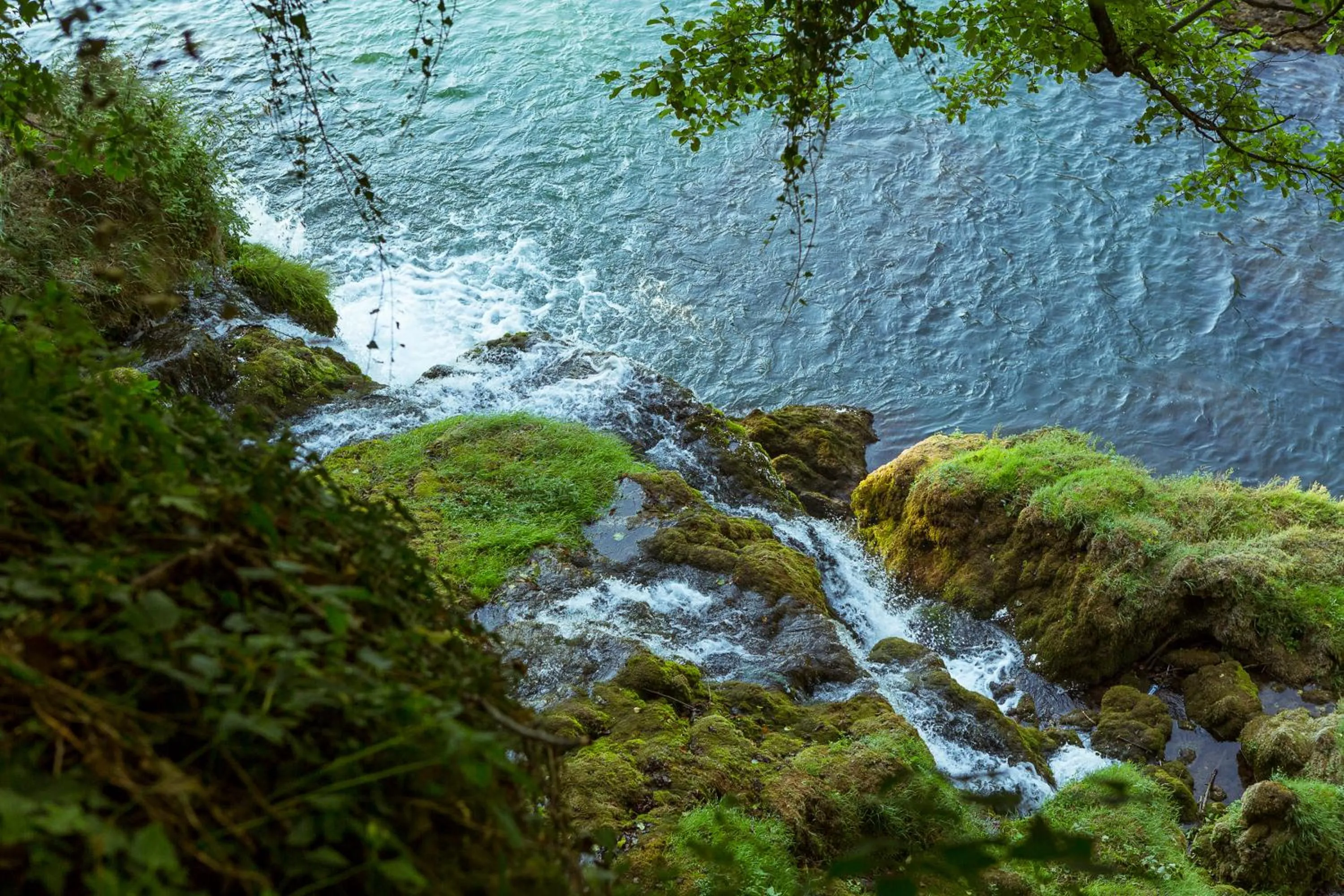 Natural landscape in Zepter Hotel Drina Bajina Basta, member of Zepter Hotels