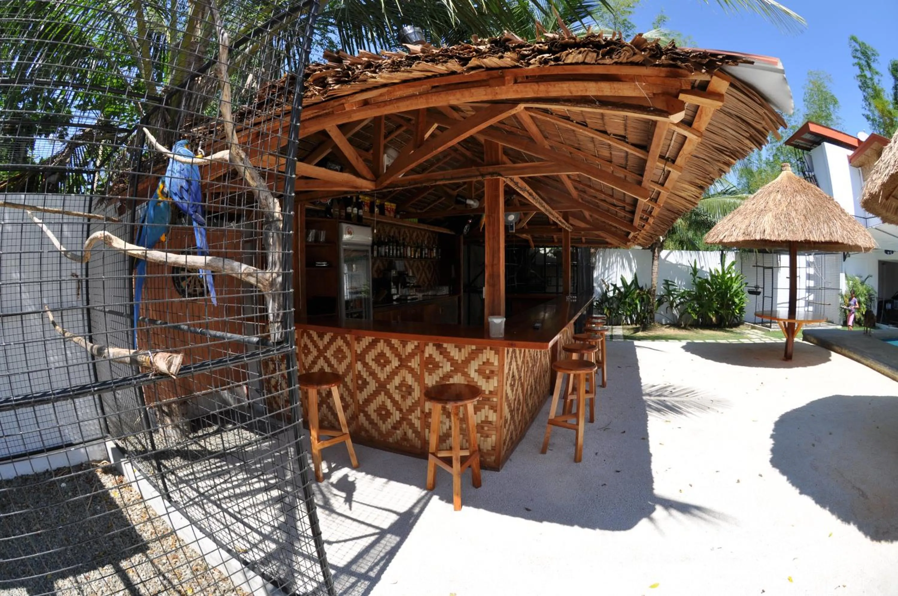 Restaurant/places to eat in Parrot Resort Moalboal
