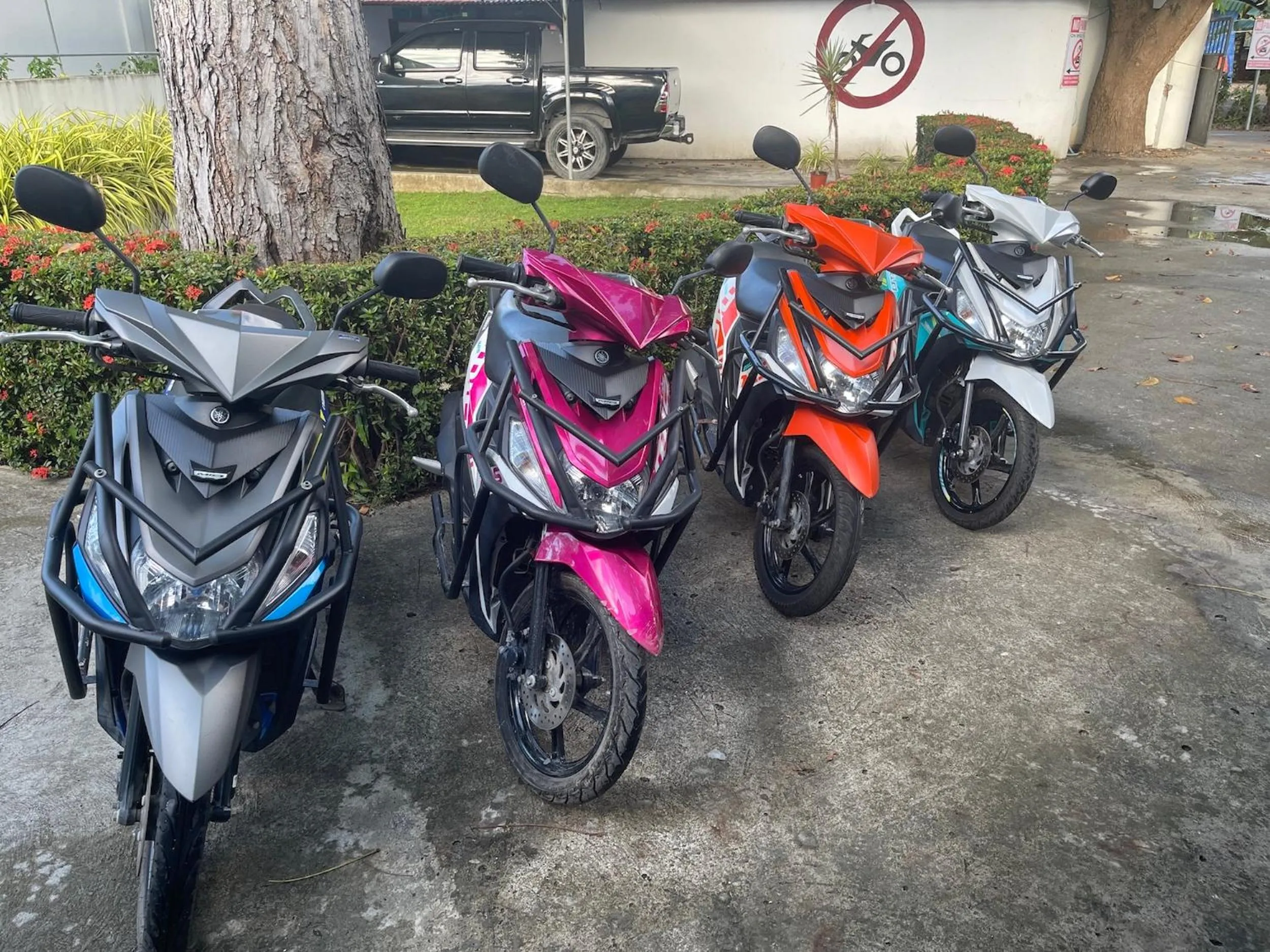 Activities in Parrot Resort Moalboal