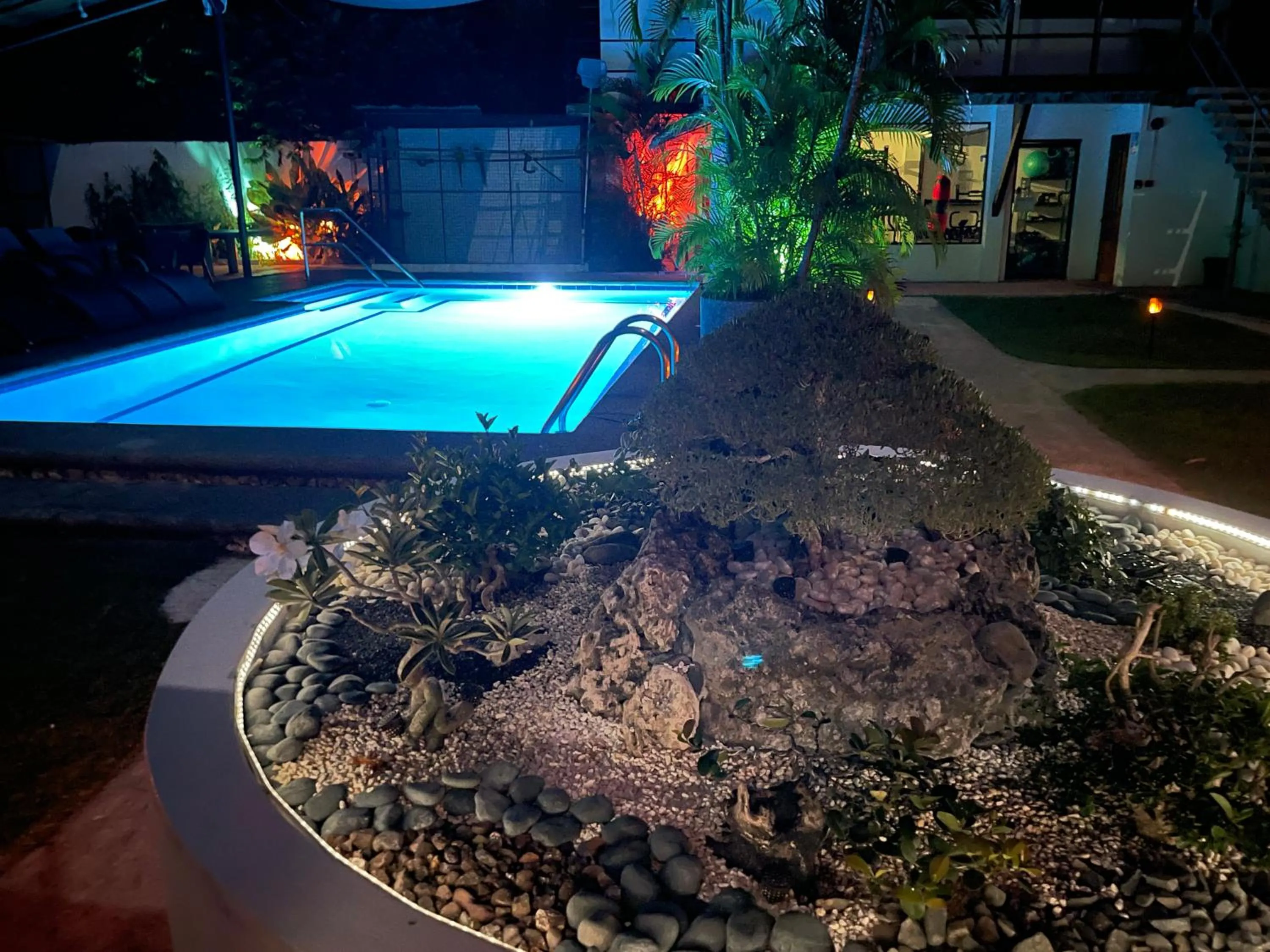 Night in Parrot Resort Moalboal