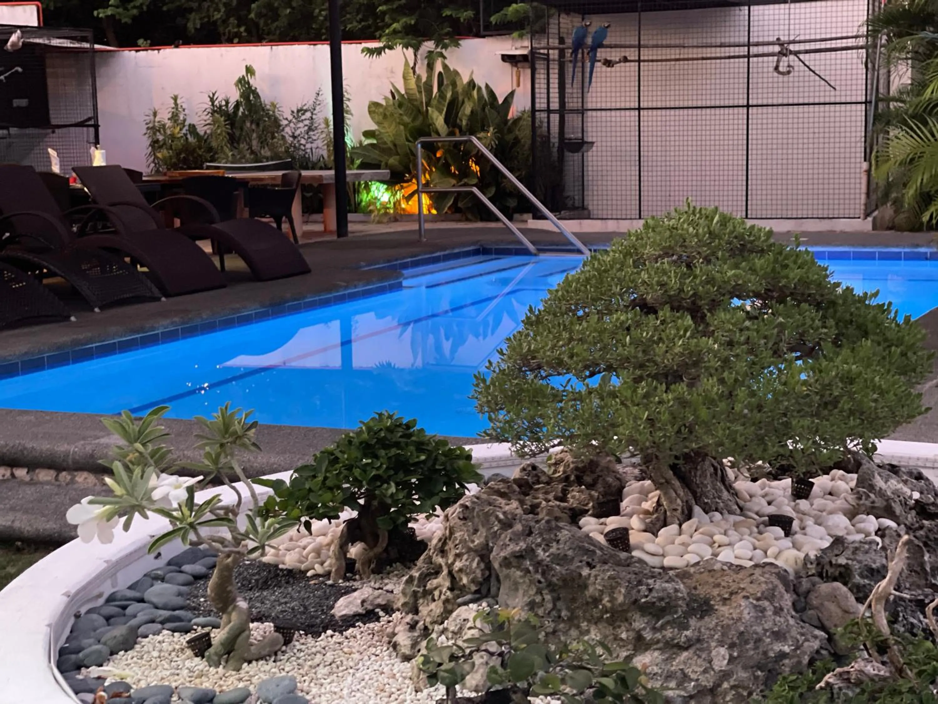 Garden in Parrot Resort Moalboal