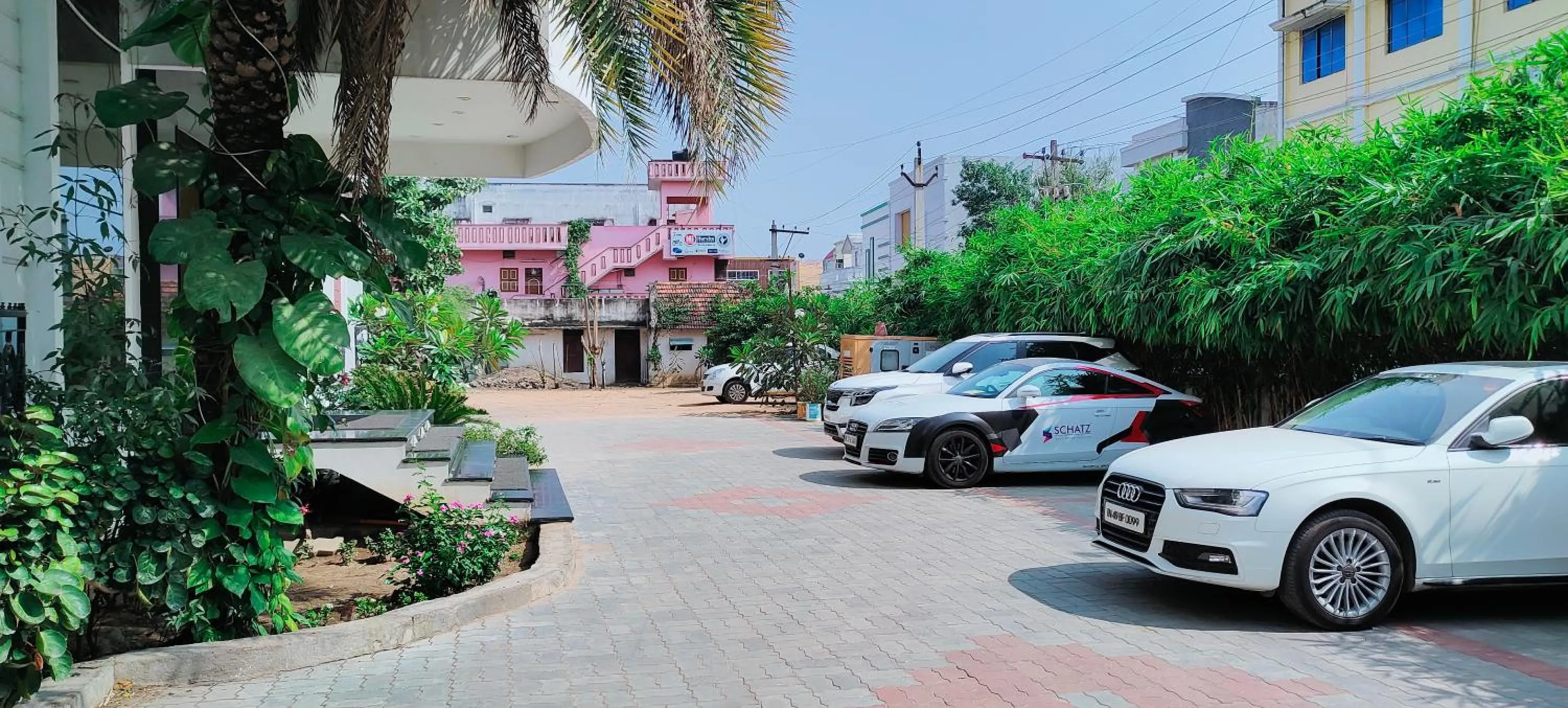 Parking in Pine Tree