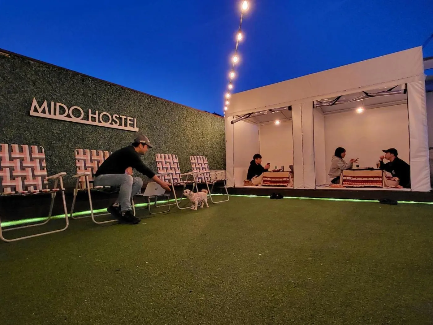 Property building in Mido Hostel