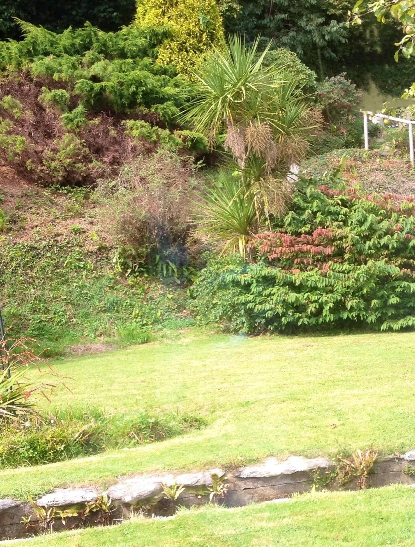 Day in Westwaterhead