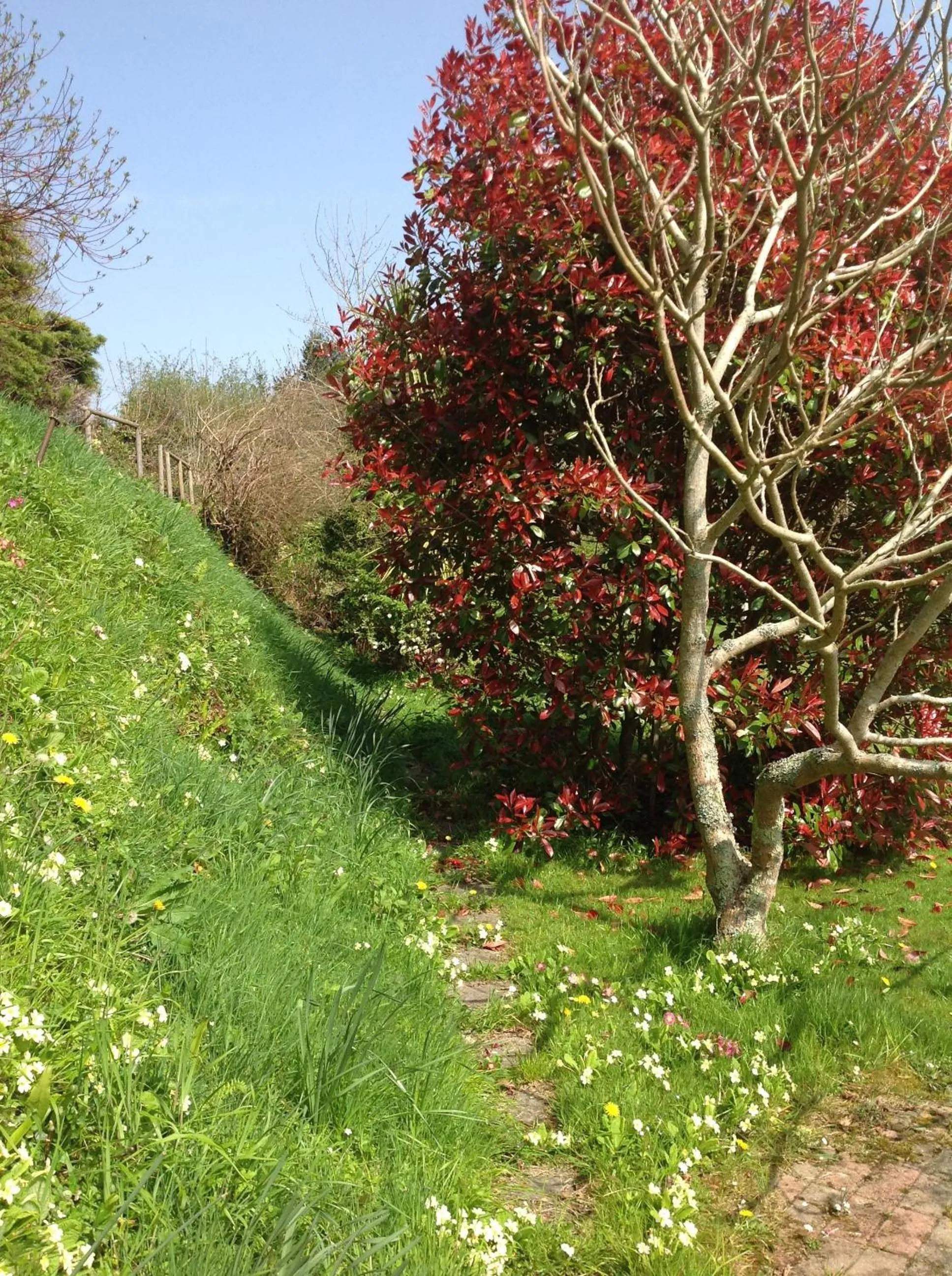 Day in Westwaterhead