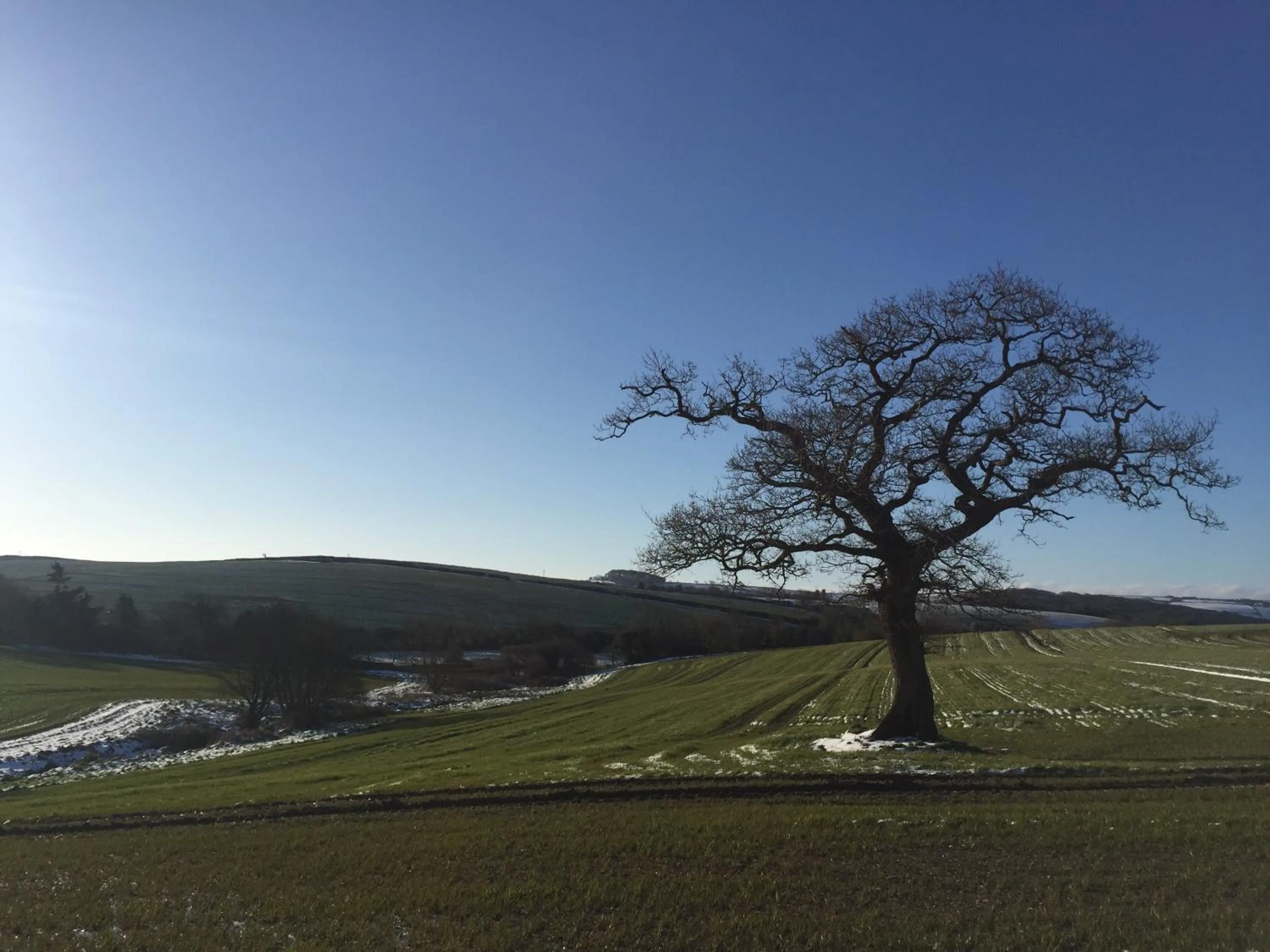 Natural landscape in Westwaterhead