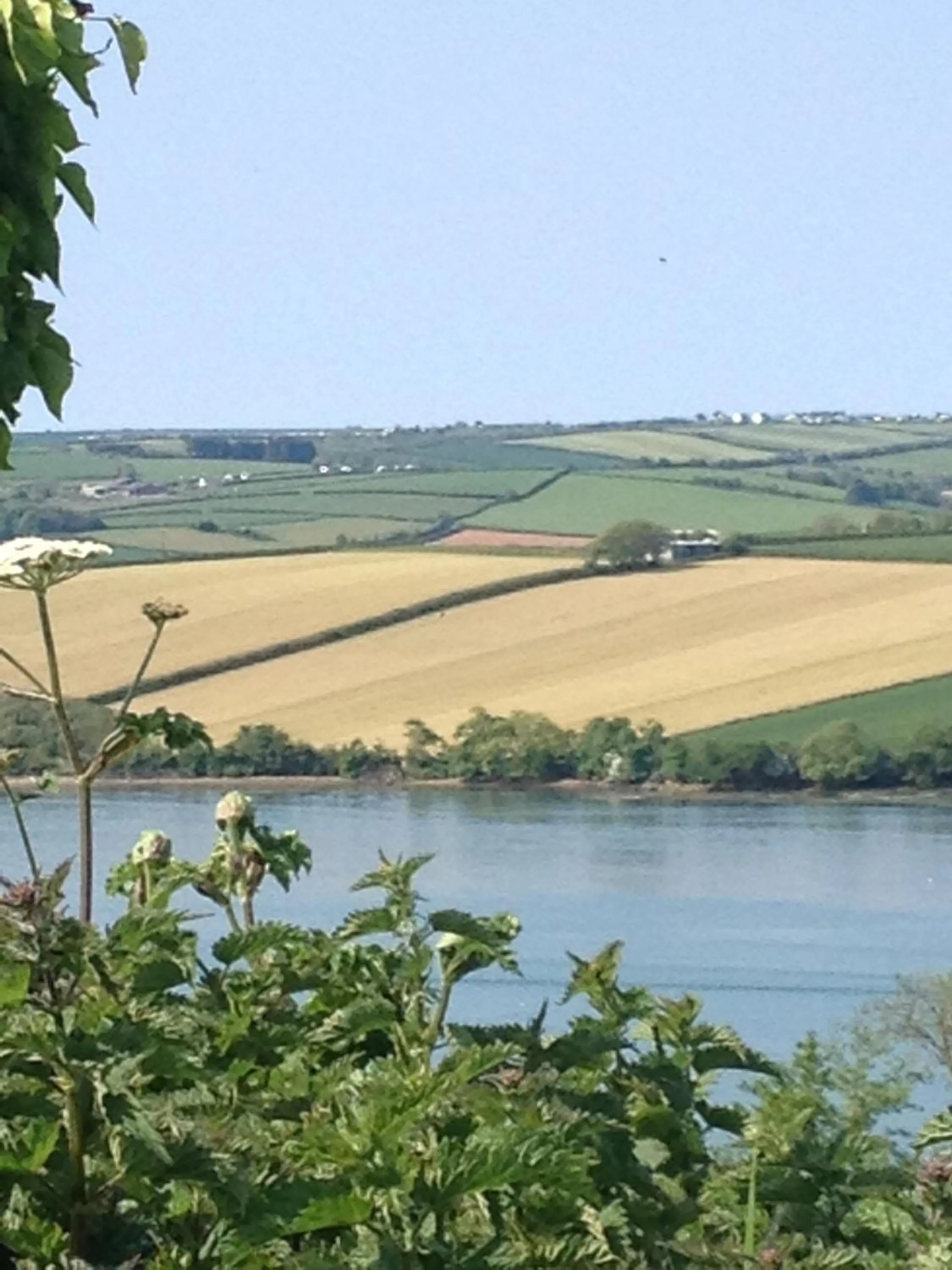 Natural landscape in Westwaterhead