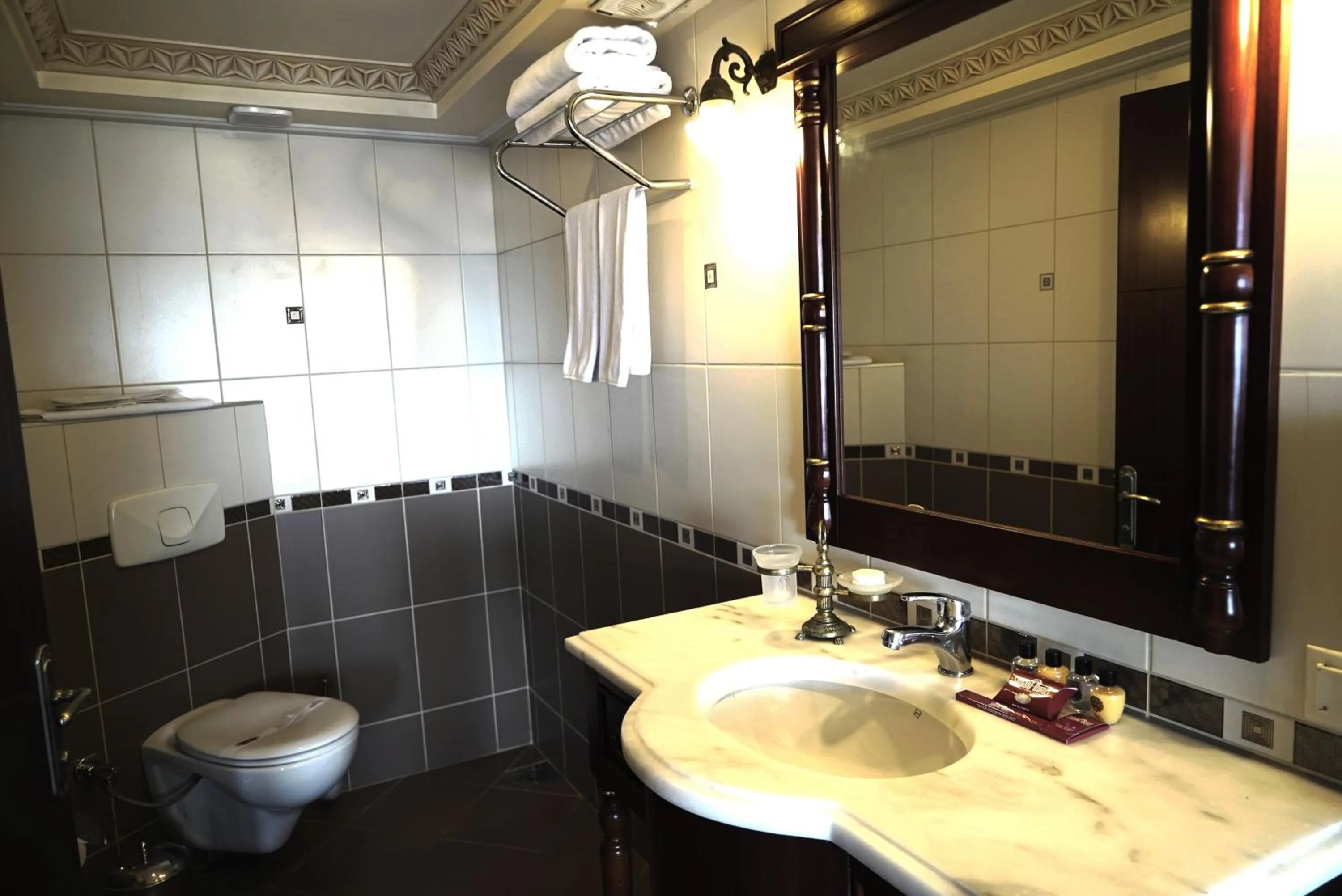 Toilet in Sultanahmet Palace Hotel