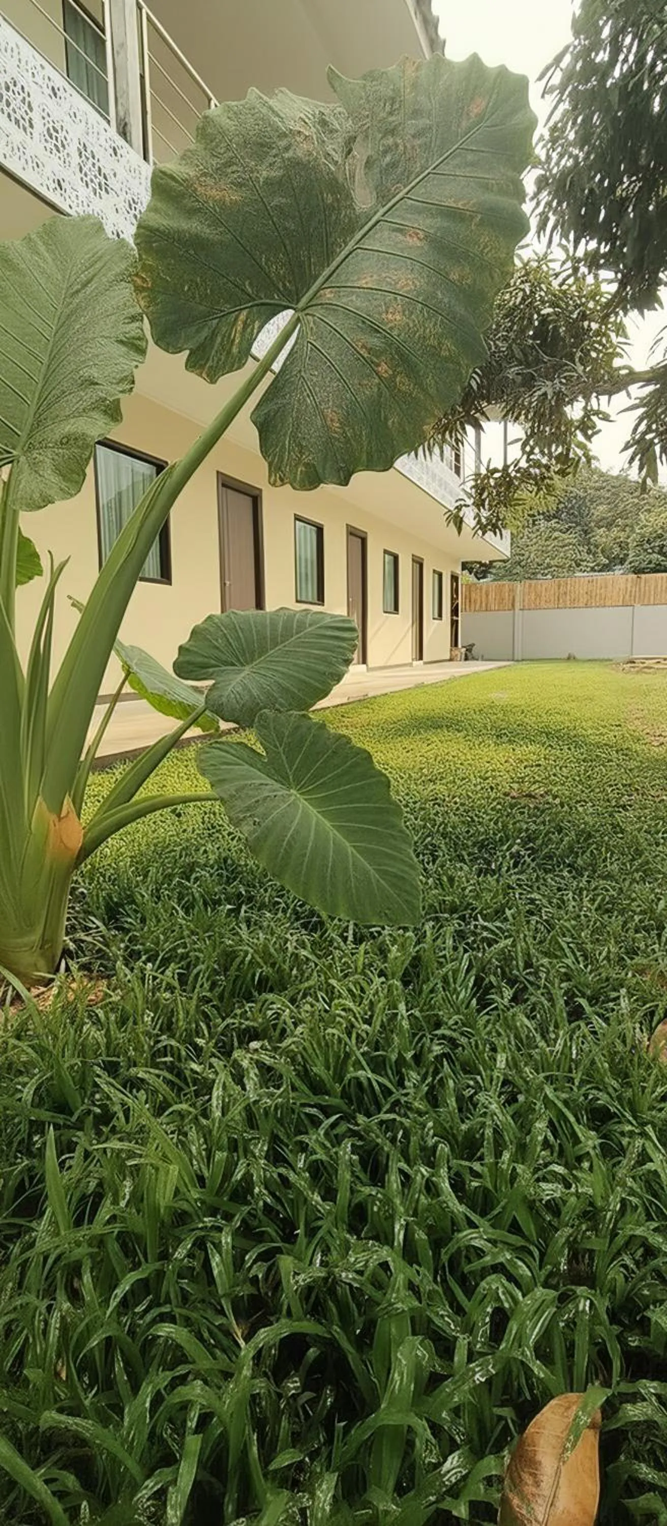 Property building in Ko Lanta Hotels and Working Space