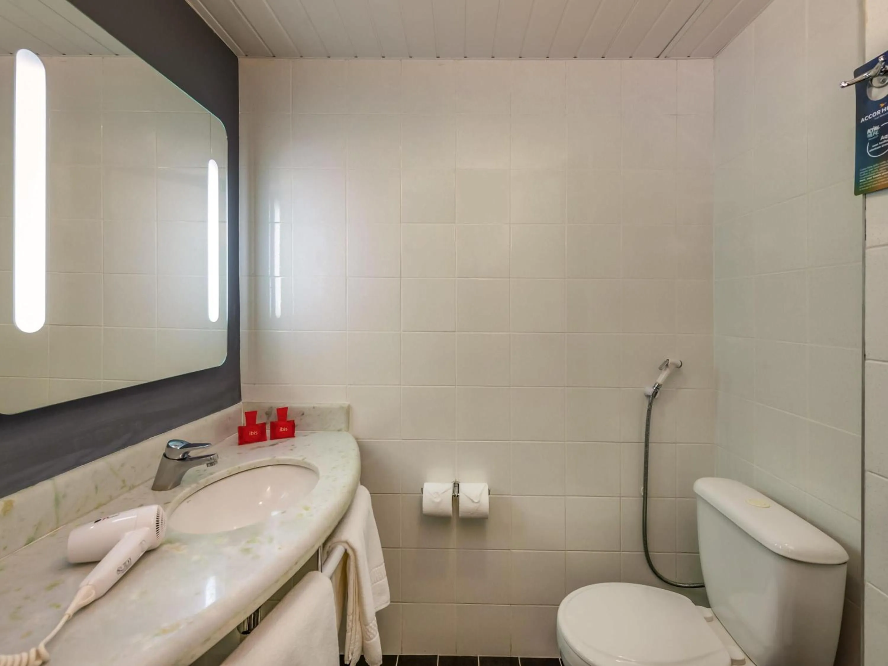 Bedroom in ibis Paulinia