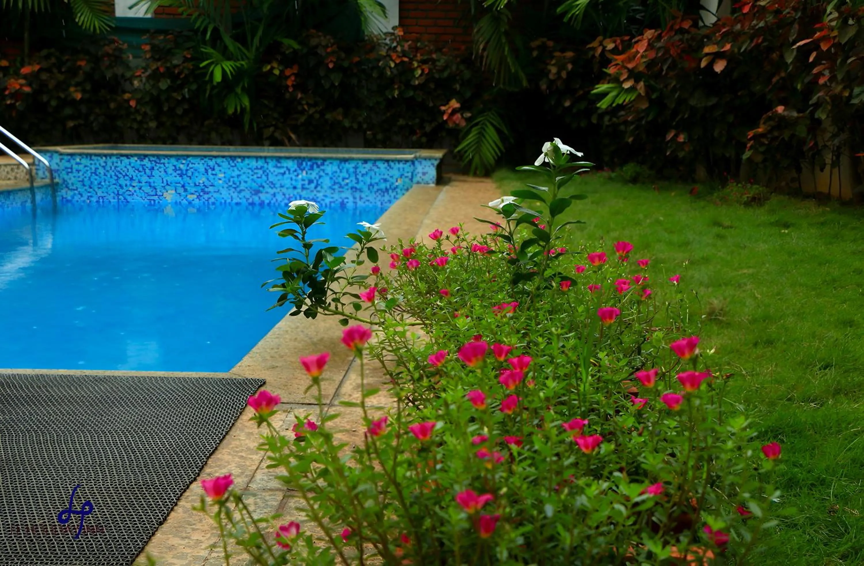 Spring in Le Holiday Inn