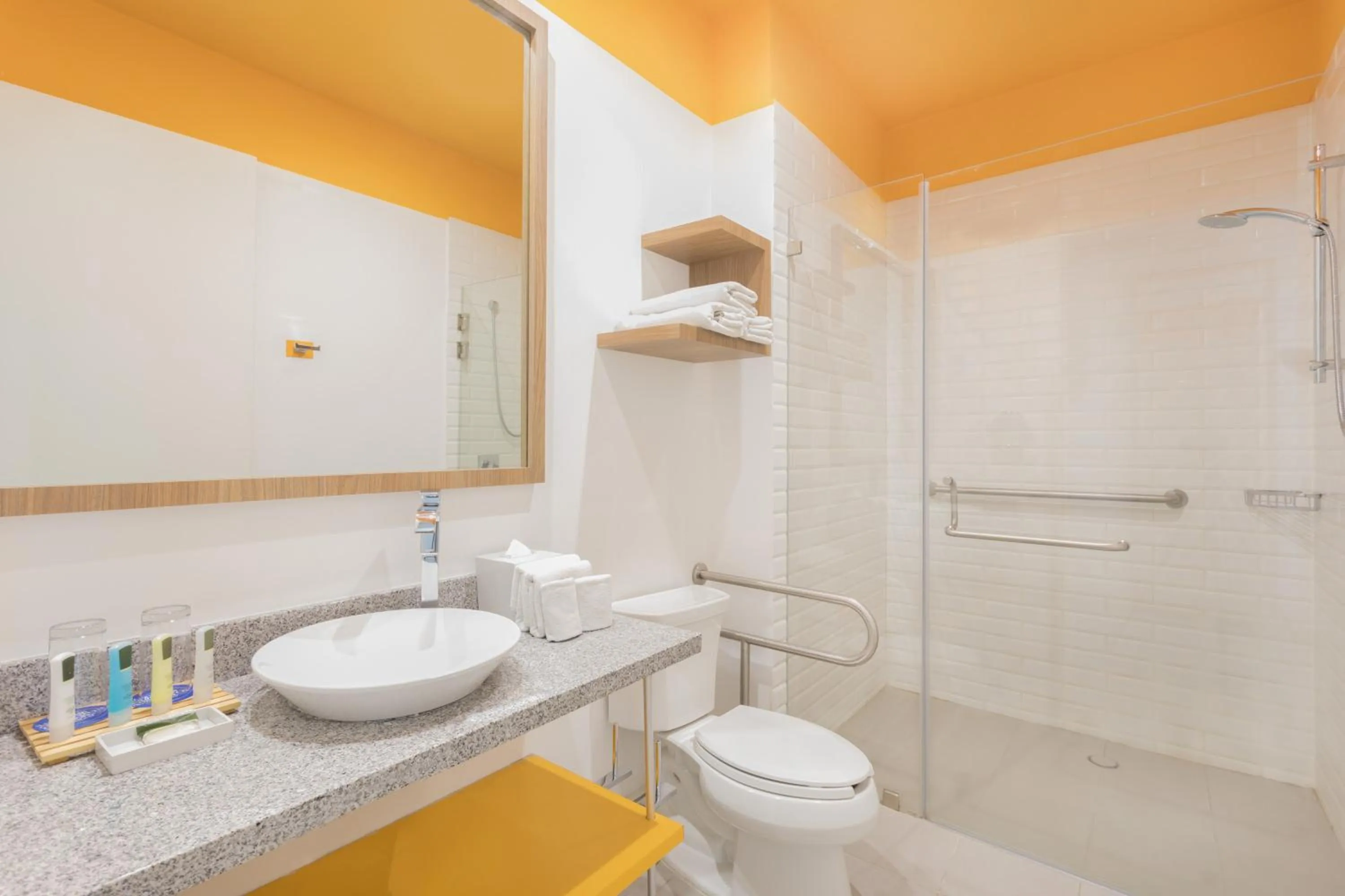 Shower in TRYP by Wyndham Mexico City World Trade Center Area