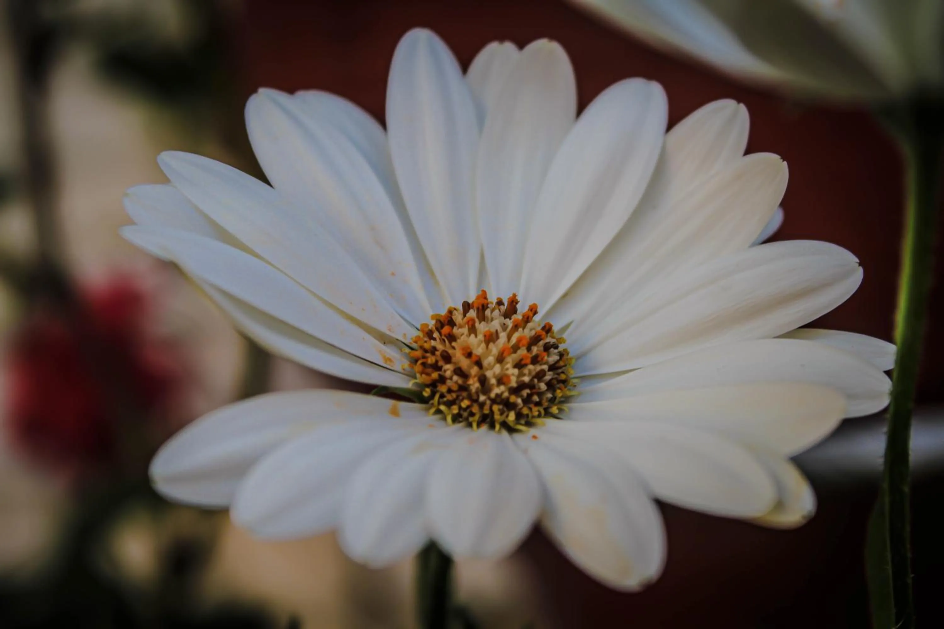 Hotel Virgen del Carmen - Huaraz