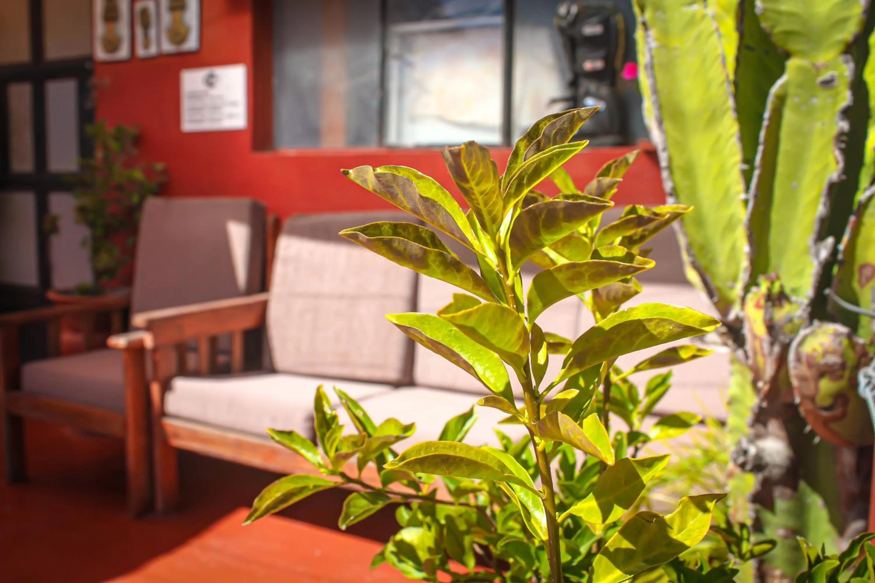 Hotel Virgen del Carmen - Huaraz