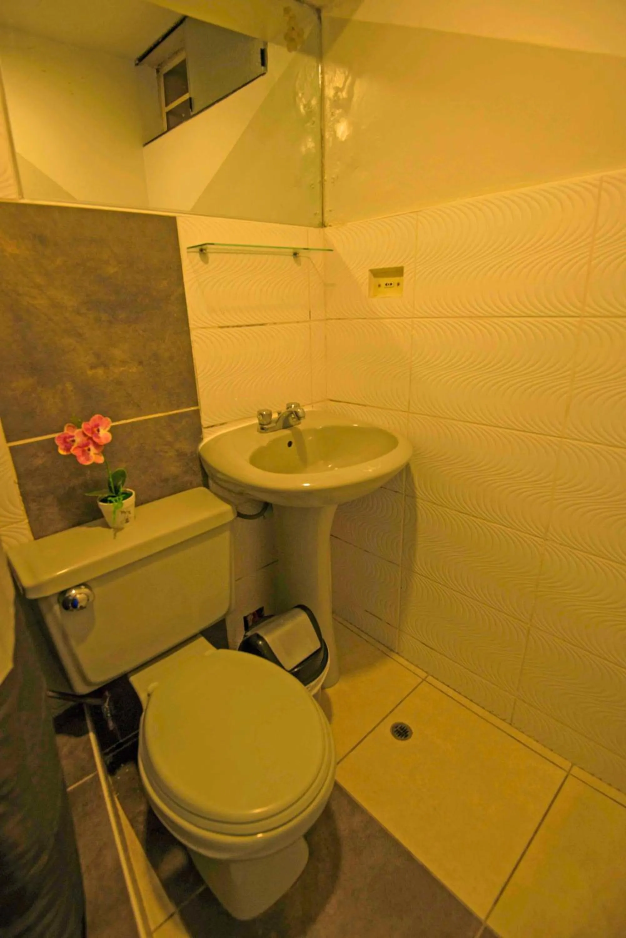 Hotel Virgen del Carmen - Huaraz