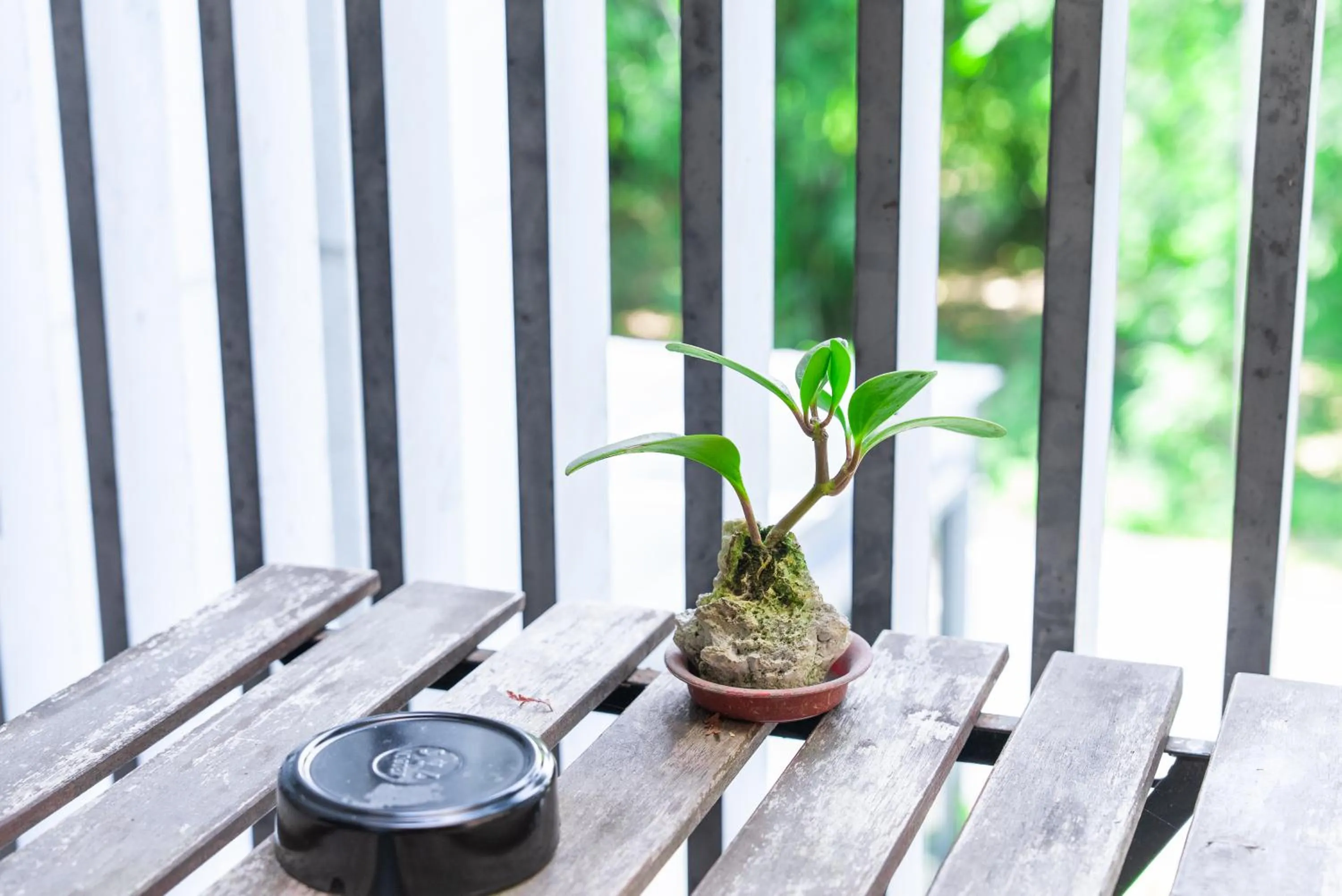 Balcony/Terrace in Jiaoxi Song Tian B&B