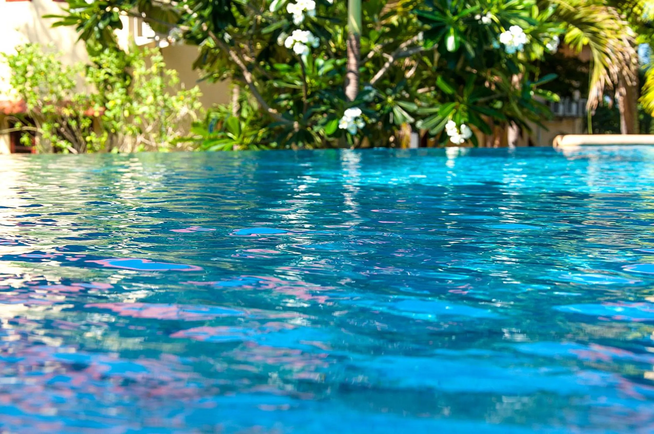 Swimming pool in Samui Green Life