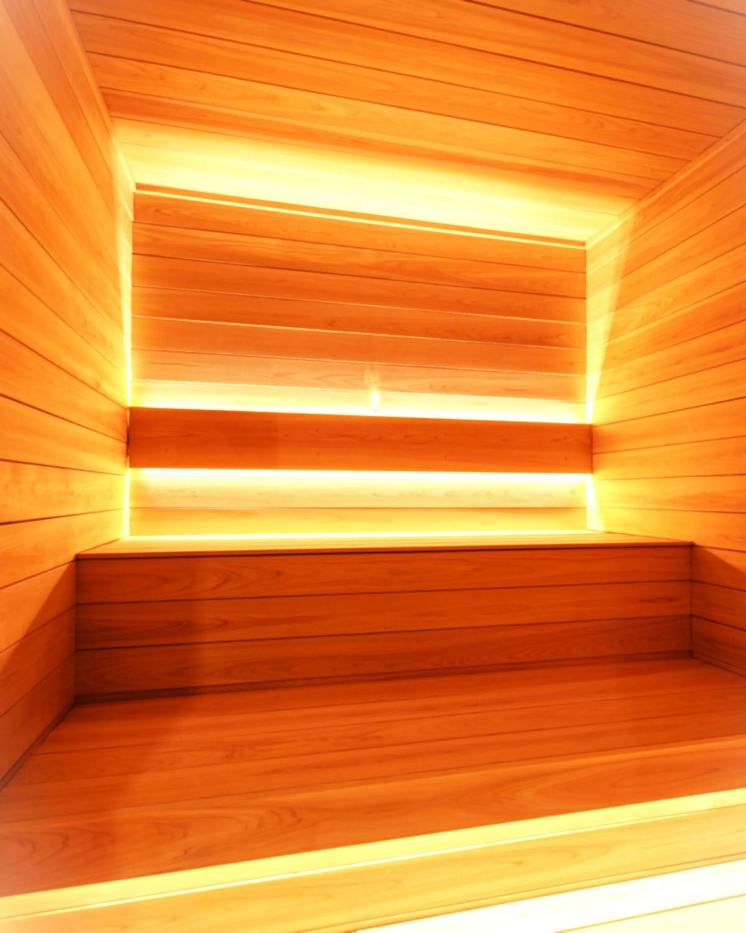 Sauna in Sauna Hotel Gifu