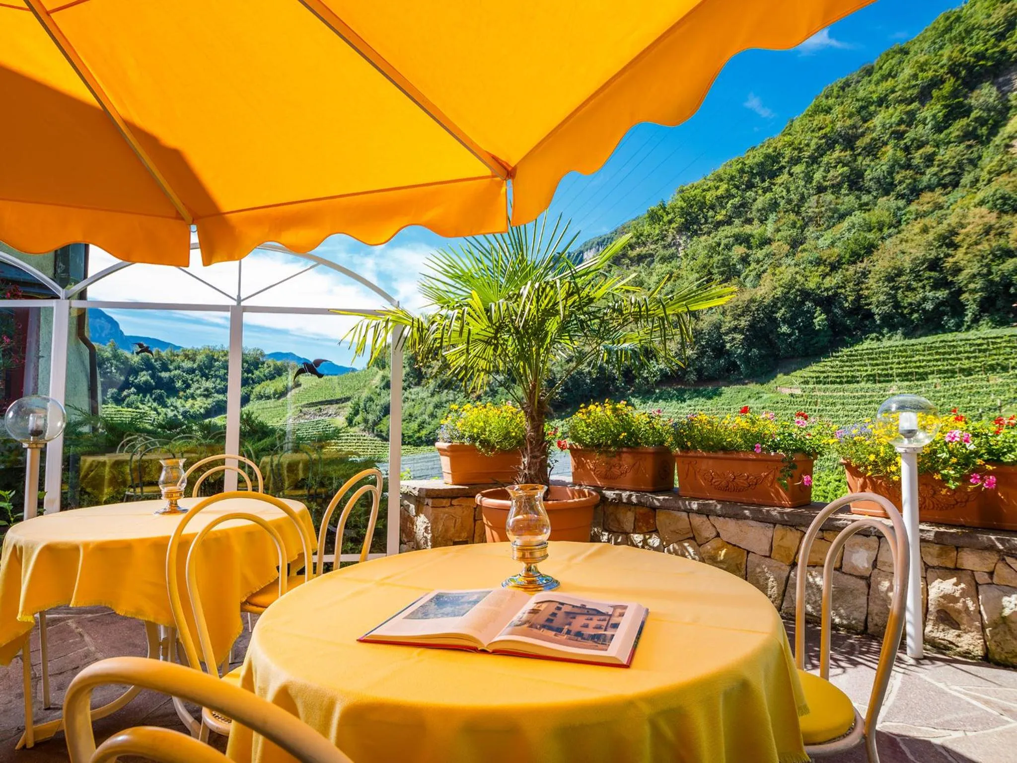 Garden view in Hotel Mühle Mayer