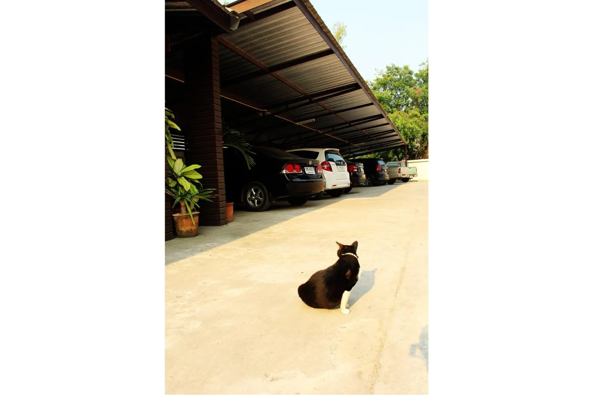 Other in Pornkasem House