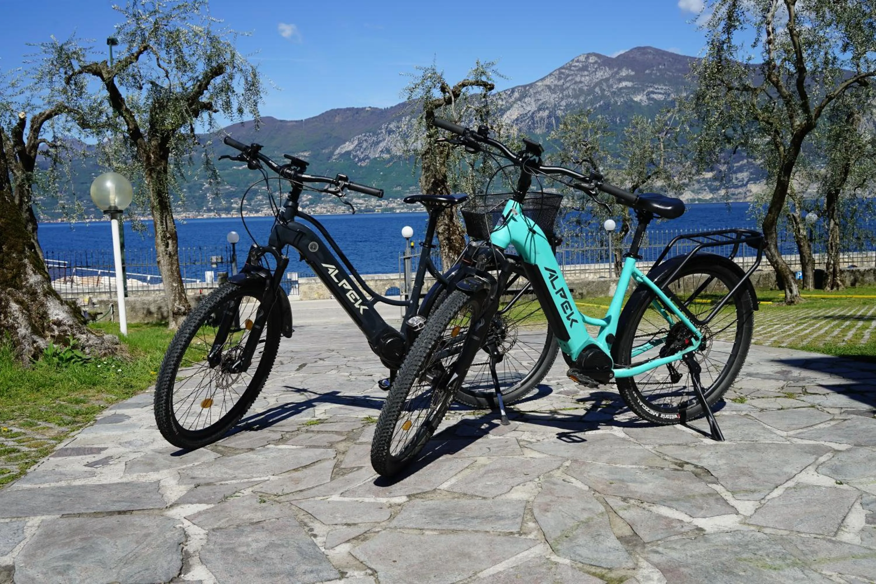 Cycling in Hotel Veronesi