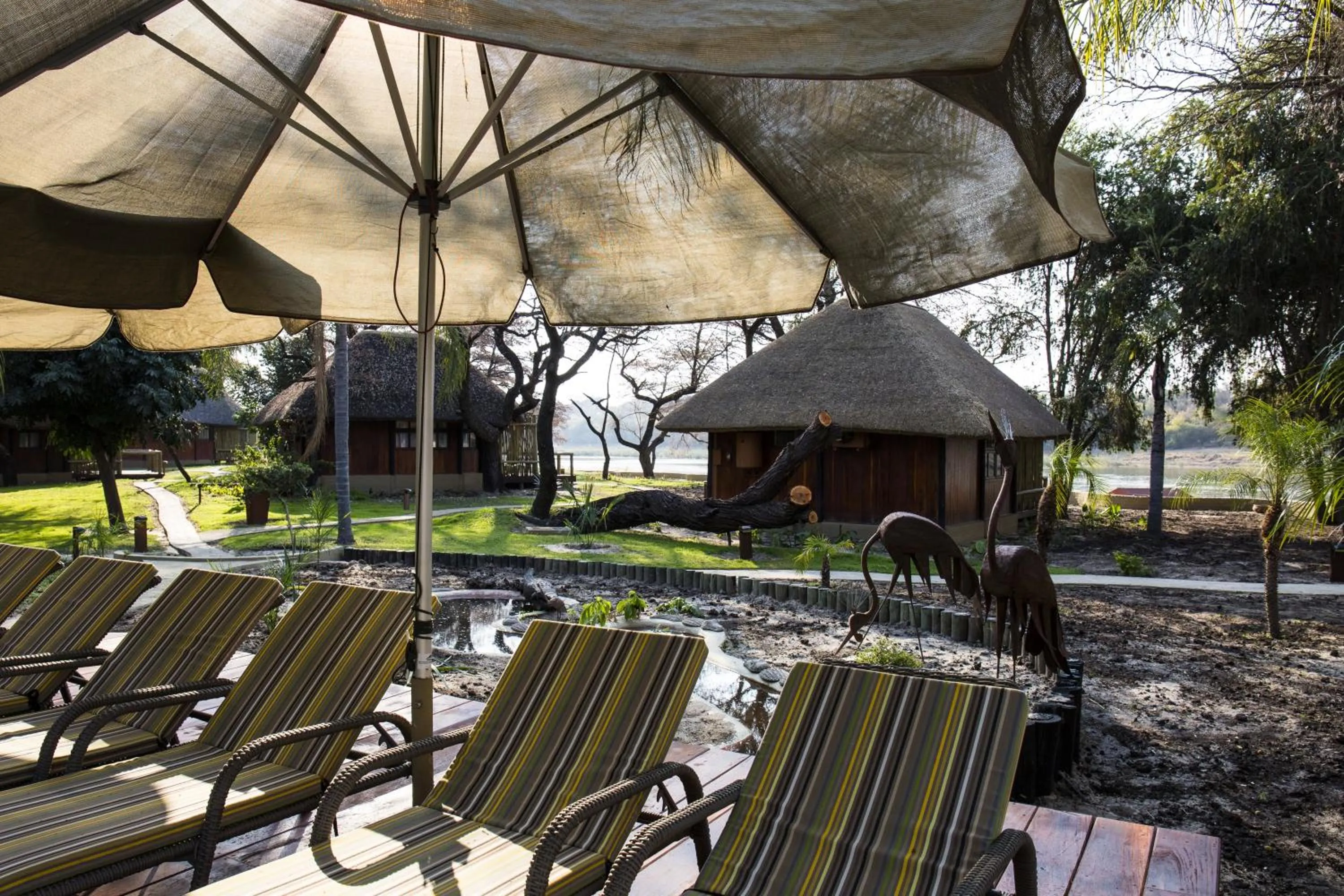 Pool view in Gondwana Hakusembe River Lodge