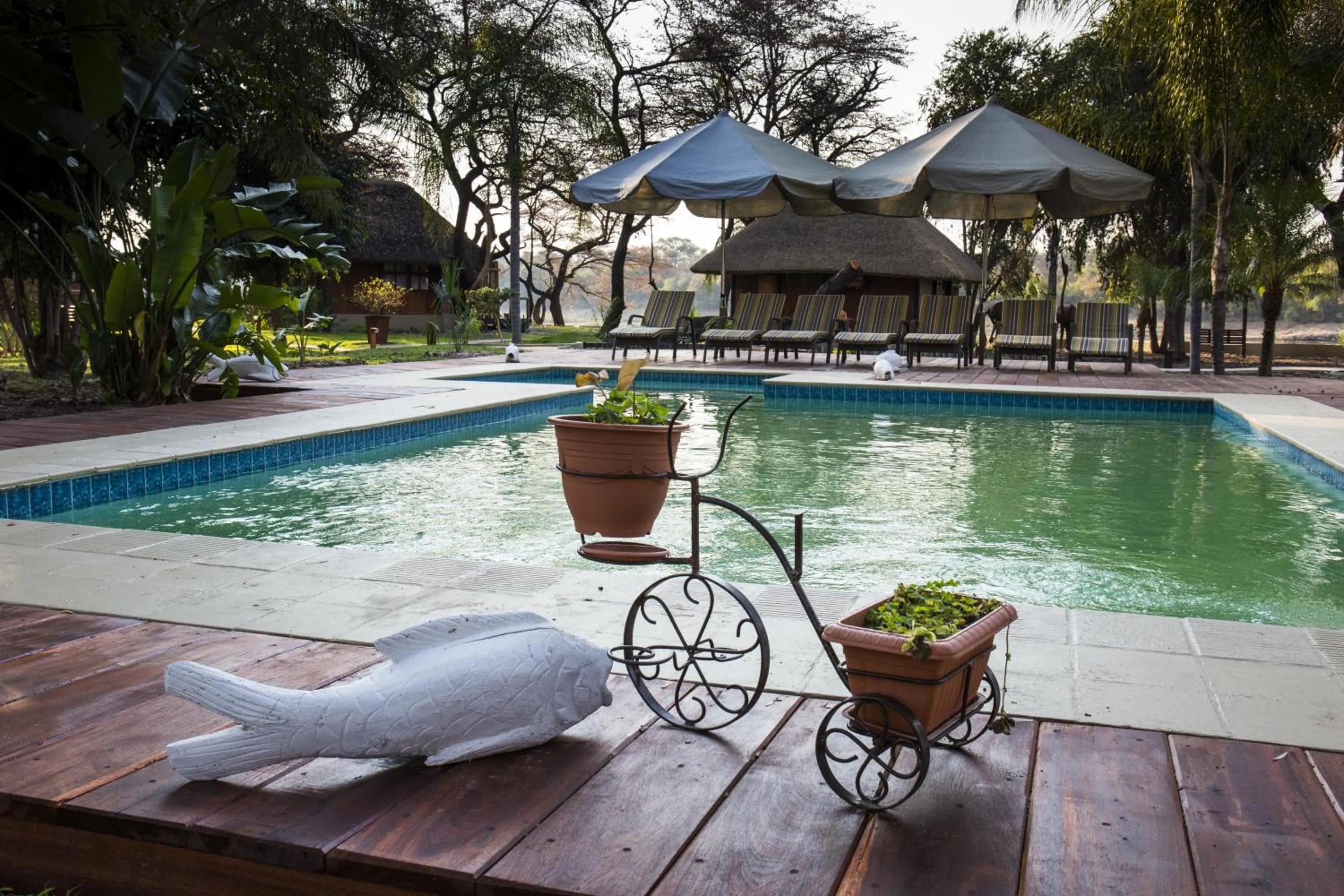 Swimming pool in Gondwana Hakusembe River Lodge