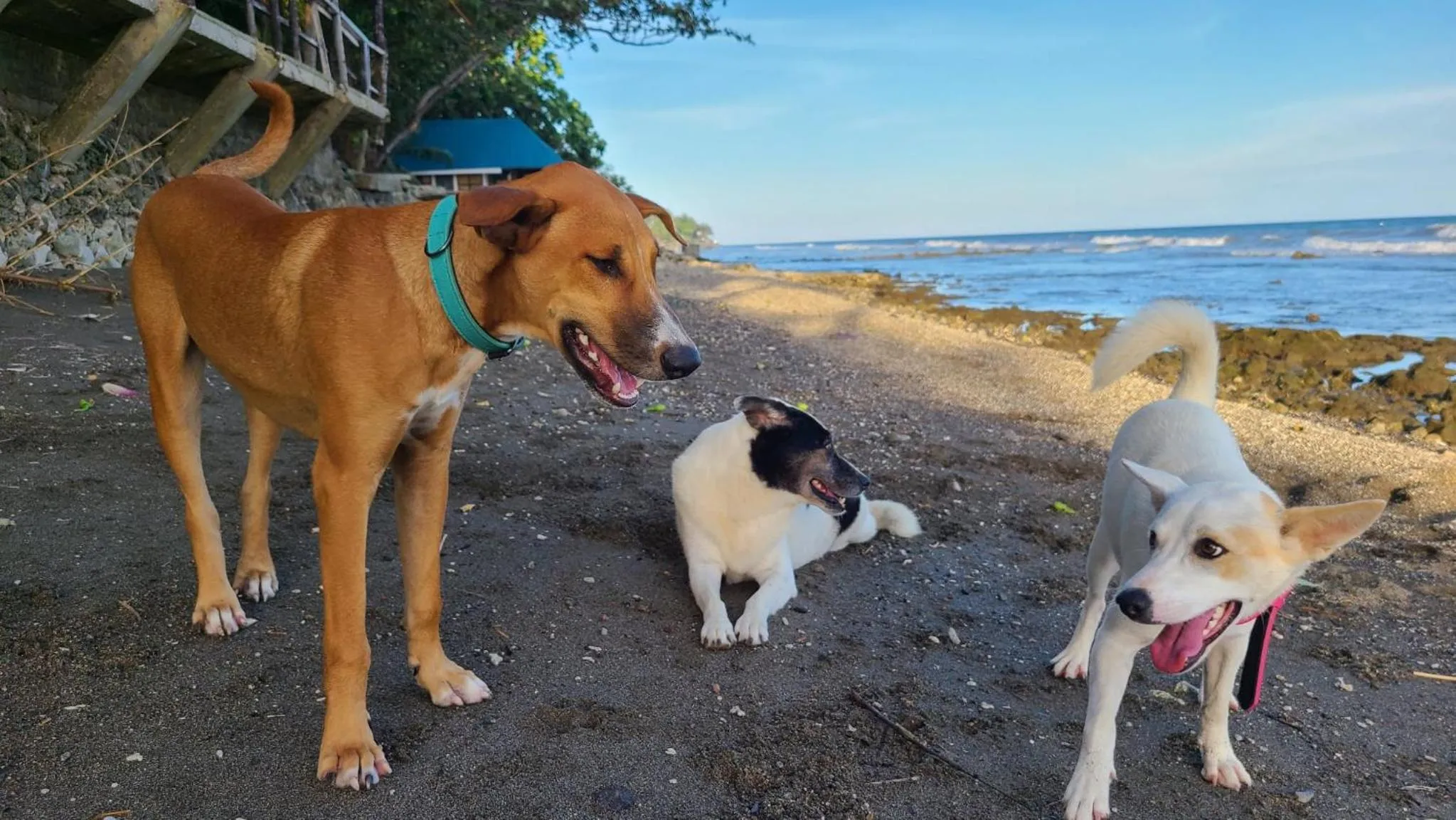 Beach in Paseo Del Mar Seaside Inn
