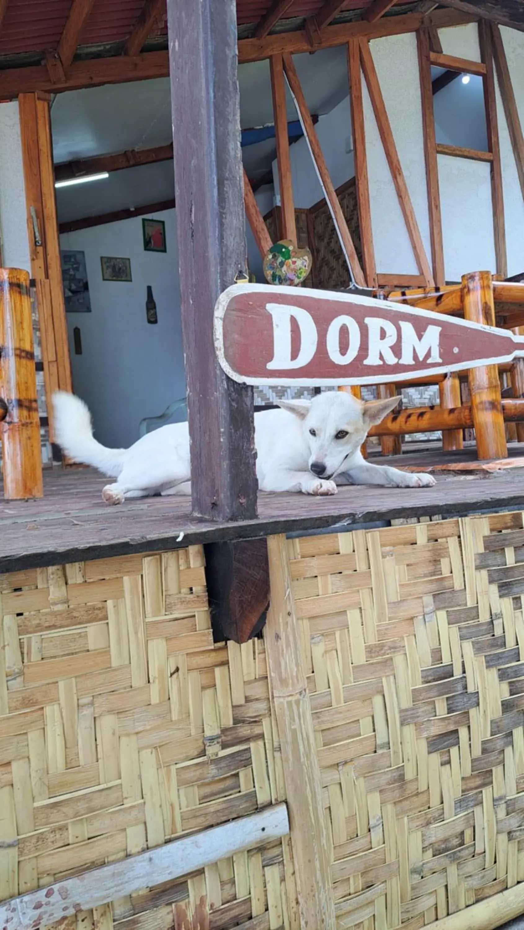 Single Bed in Dormitory Room in Paseo Del Mar Seaside Inn Single Bed in Dormitory Room in Paseo Del Mar Seaside Inn