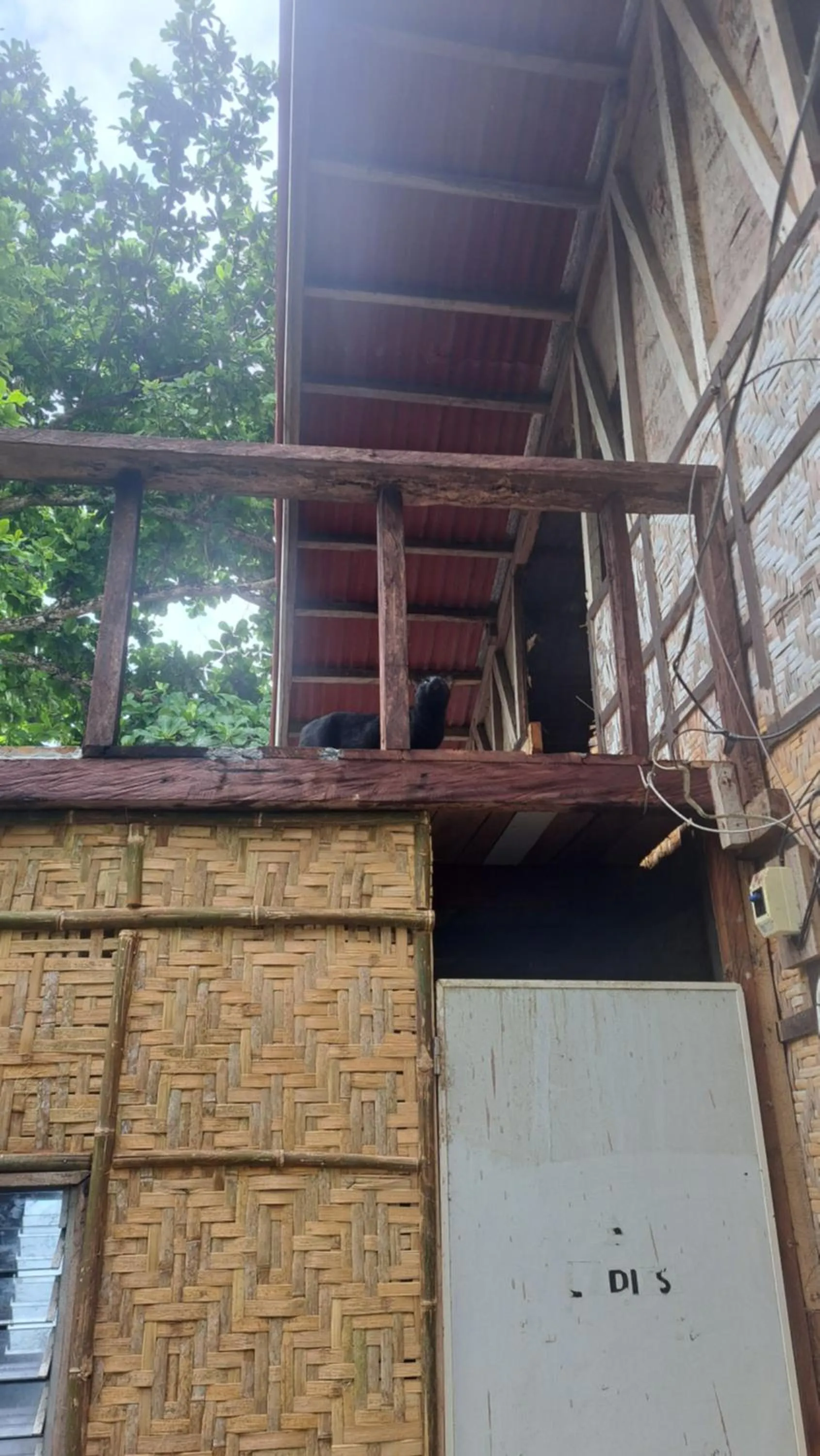 Balcony/Terrace in Paseo Del Mar Seaside Inn