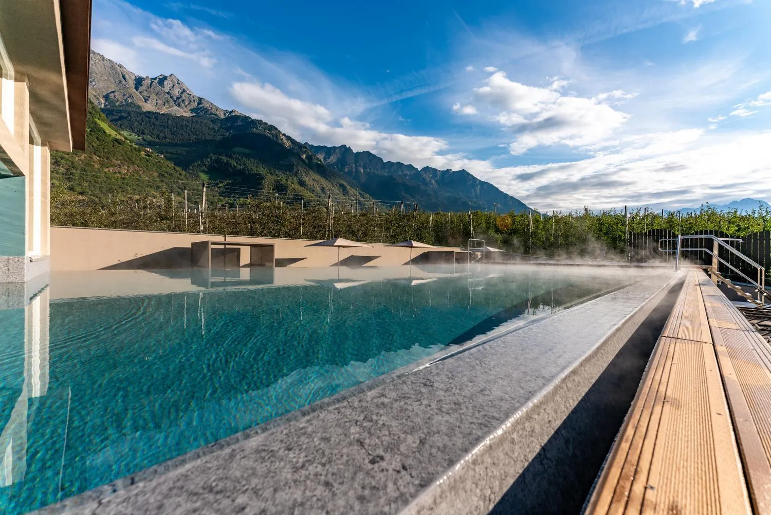 Garden in Vitalpina Hotel Waldhof