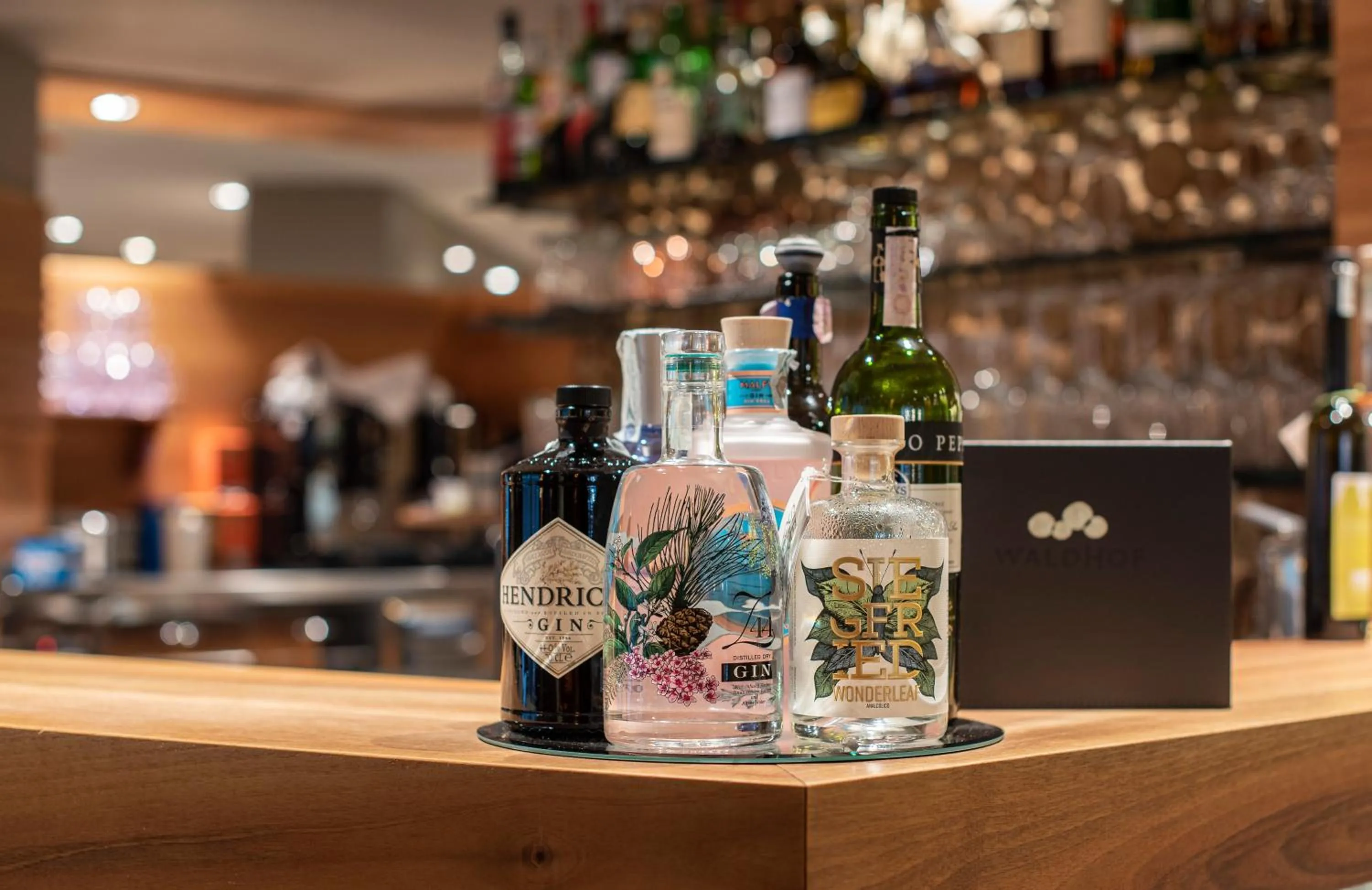 Lounge or bar in Vitalpina Hotel Waldhof