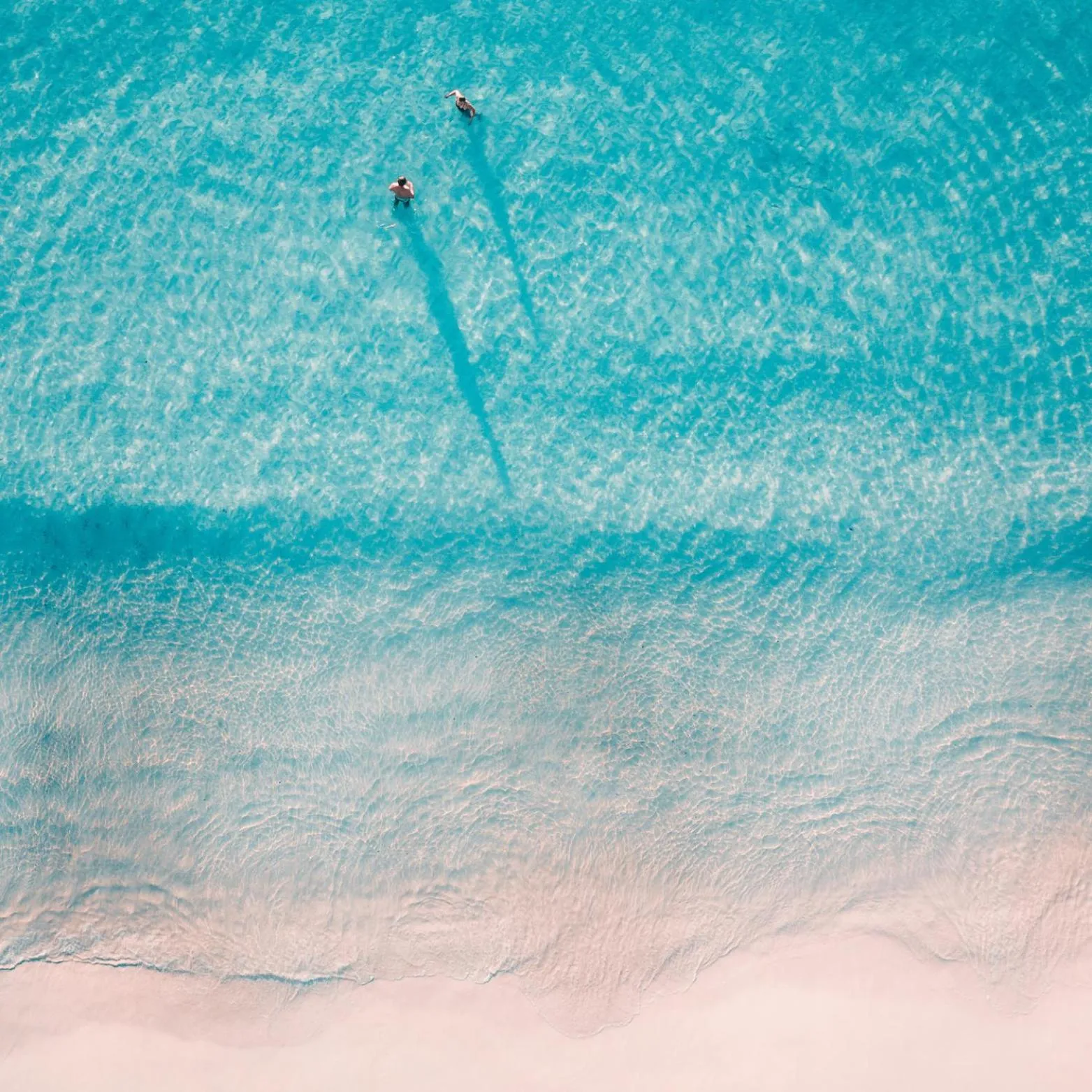 Activities in MORF suites