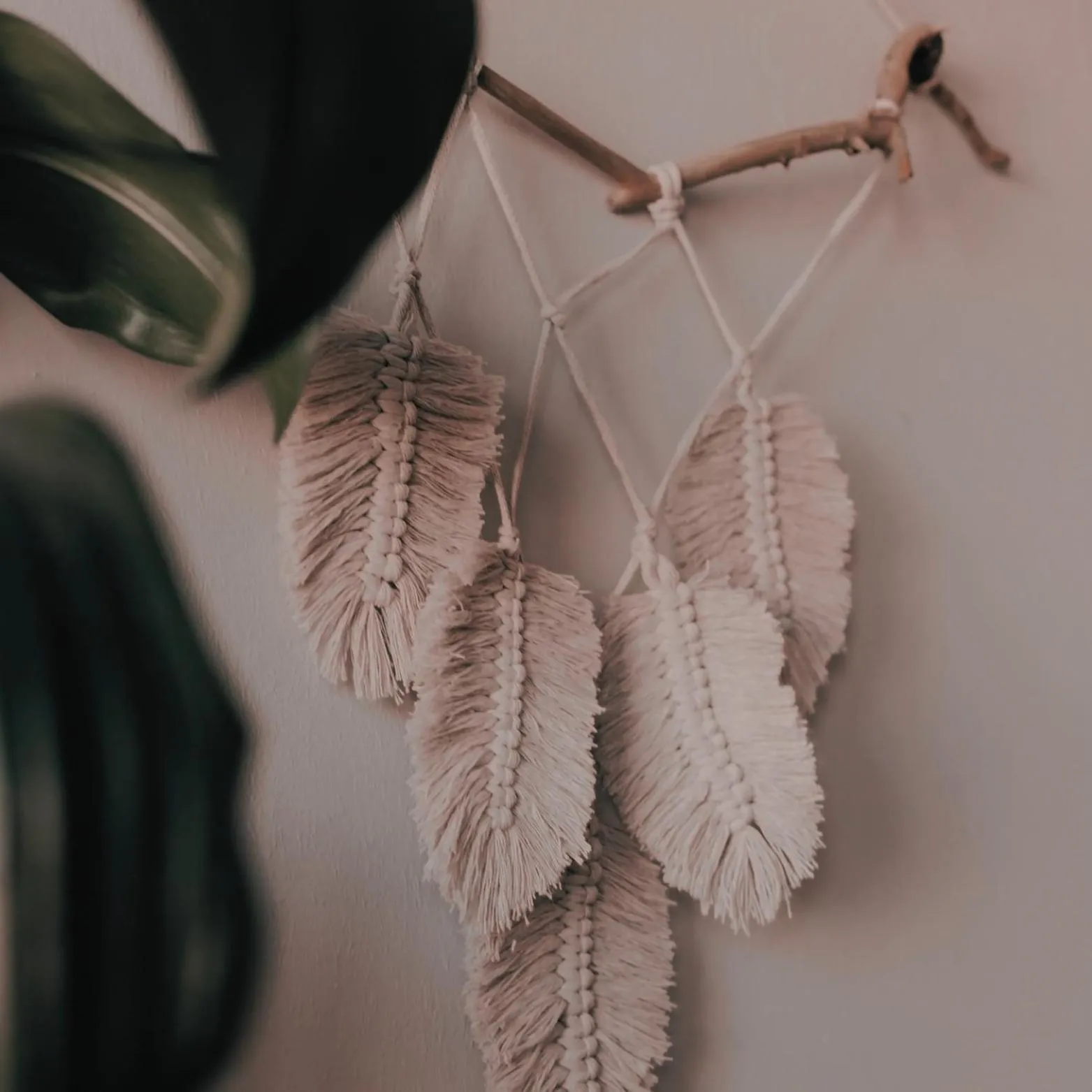 Decorative detail in MORF suites