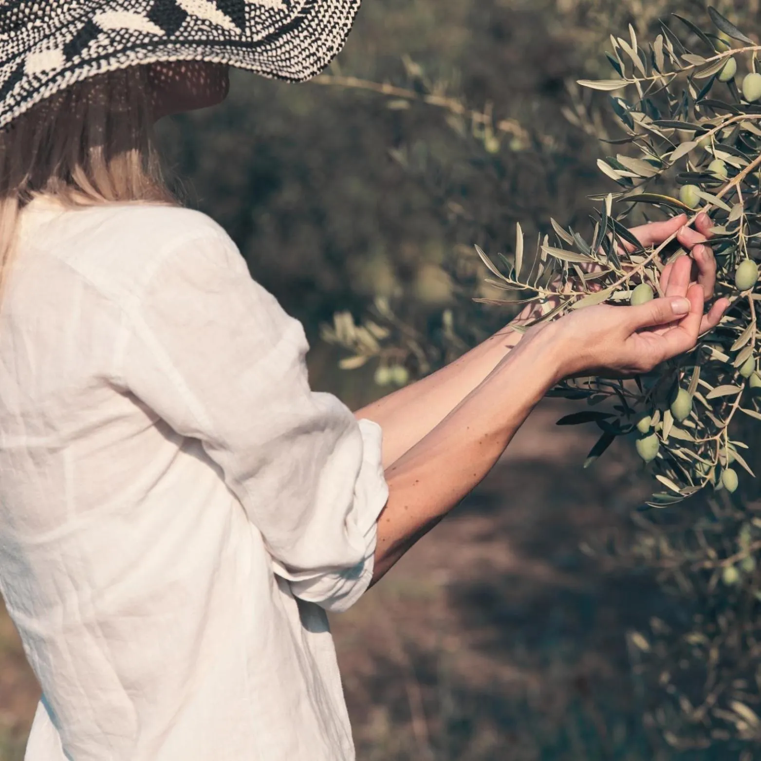 People in MORF suites