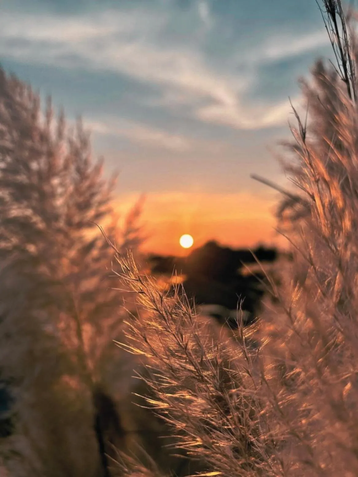 Sunset in MORF suites