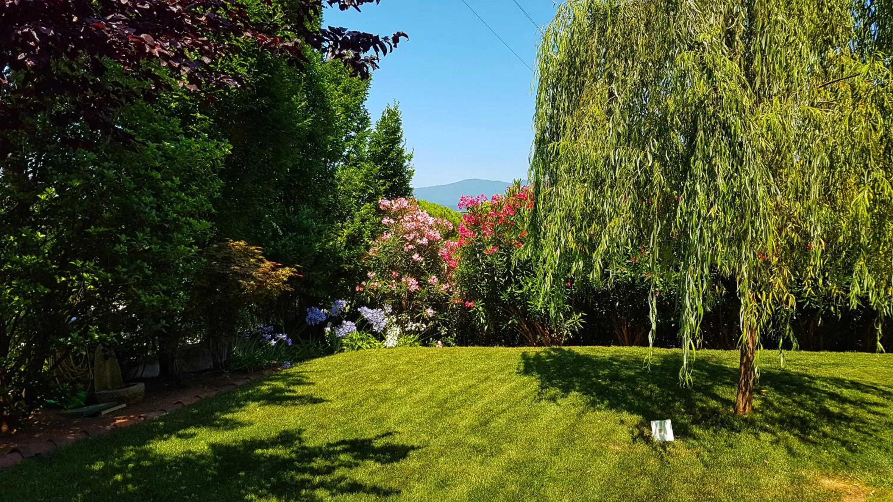 Garden in Asso Bed & Breakfast