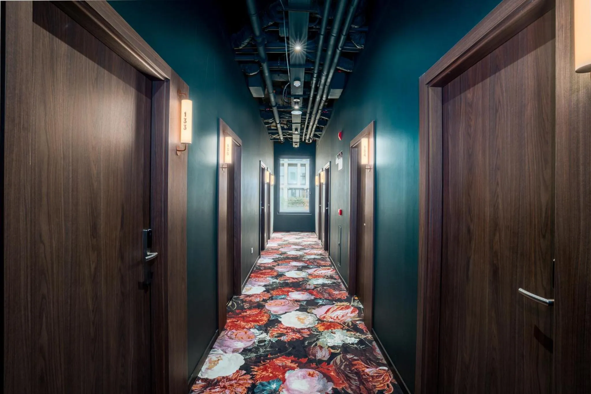 Lemonade Stays Santiago de Compostela