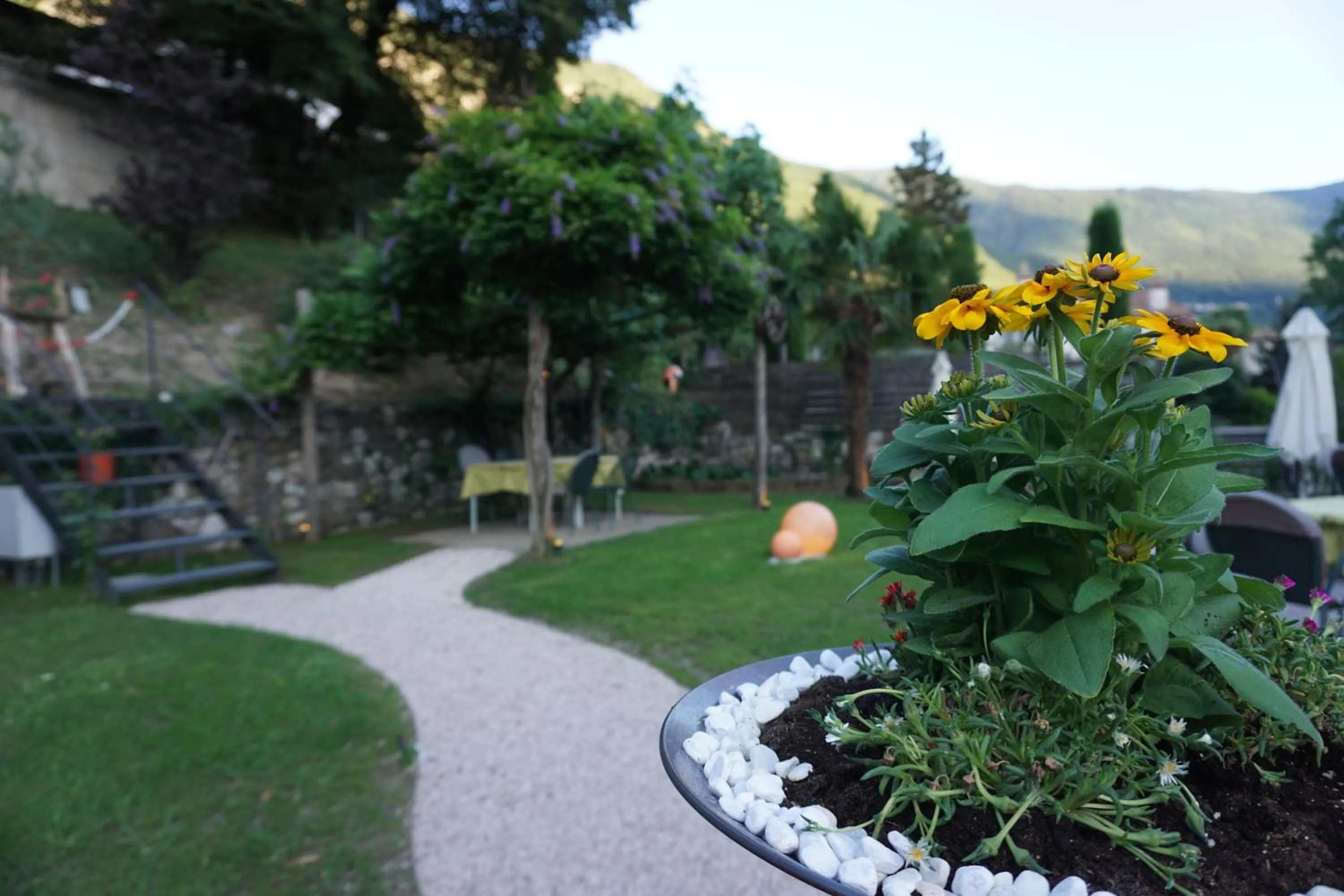 Garden in Guesthouse Dolomiten