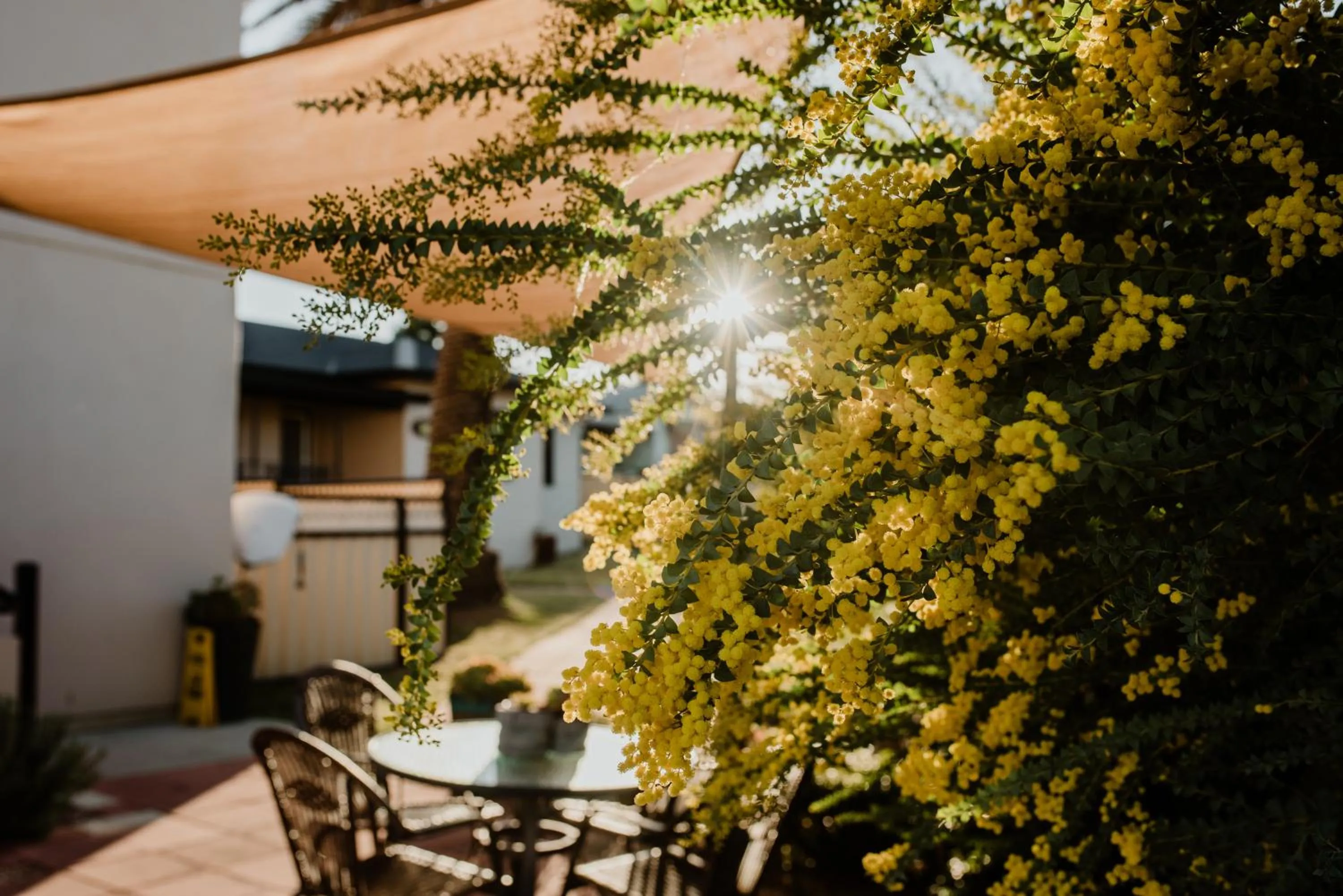 Inverell Terrace Motor Lodge