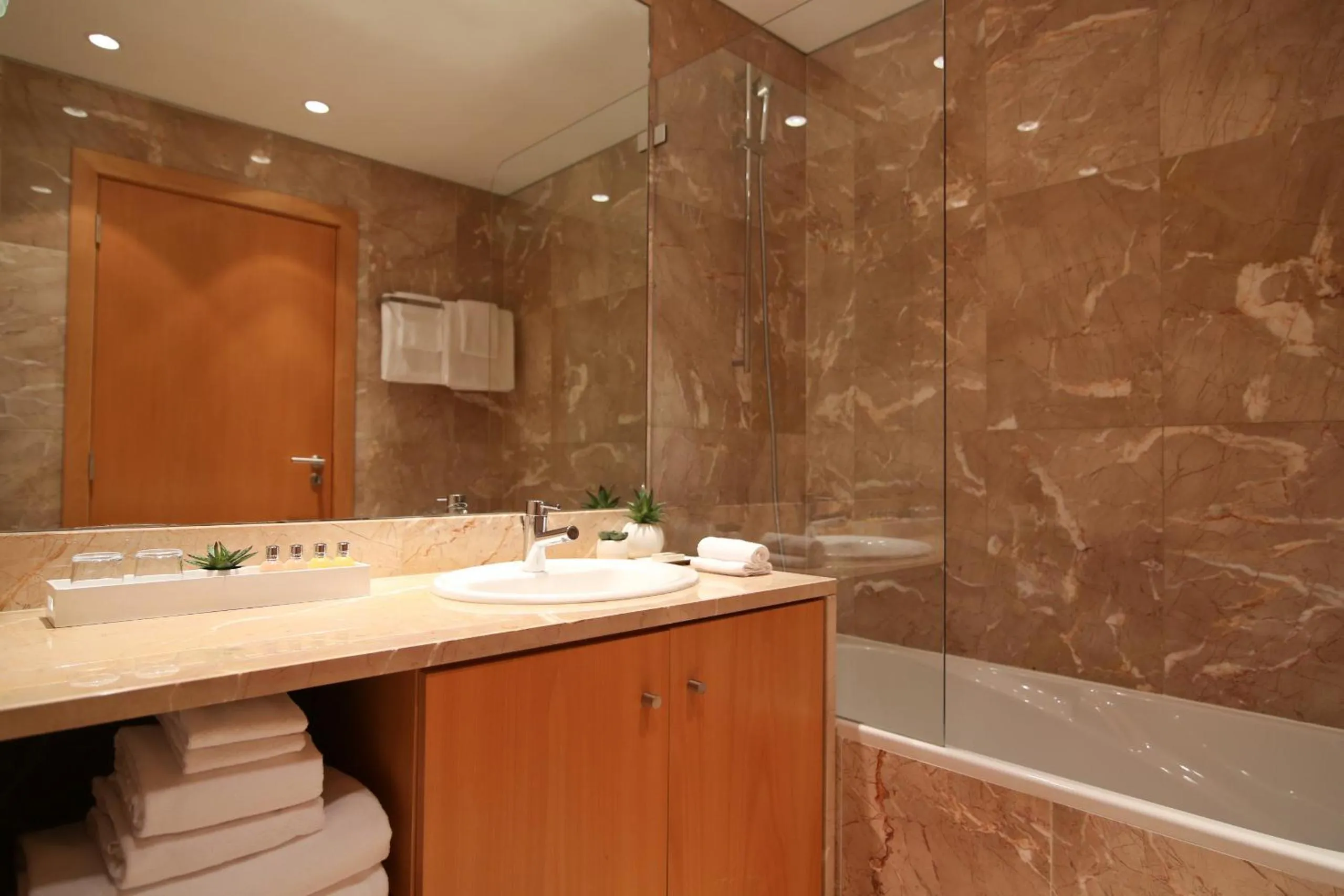 Bathroom in Panoramic Living