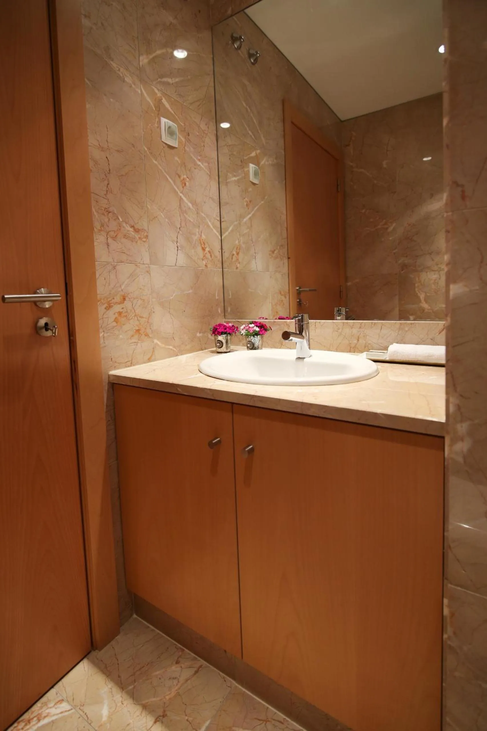 Bathroom in Panoramic Living