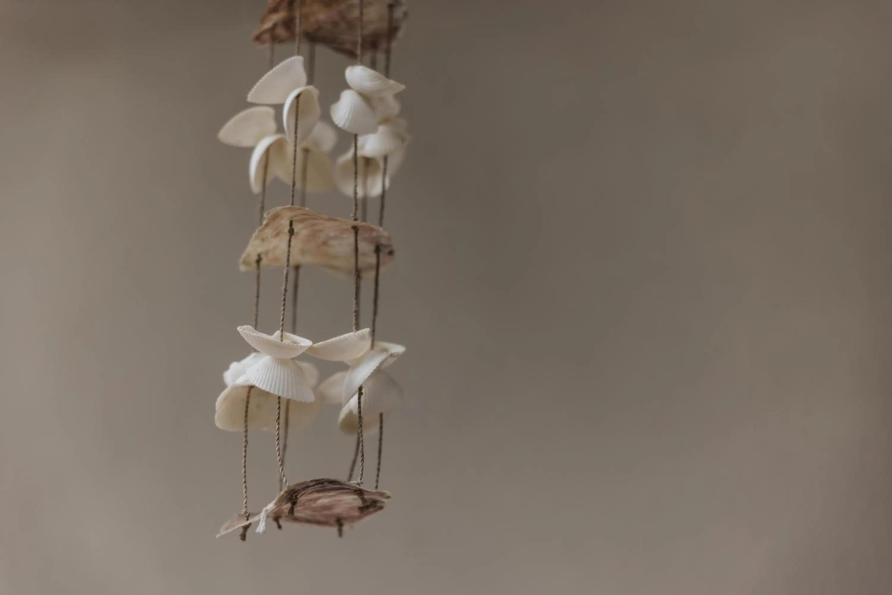 Mediterranea Sea House