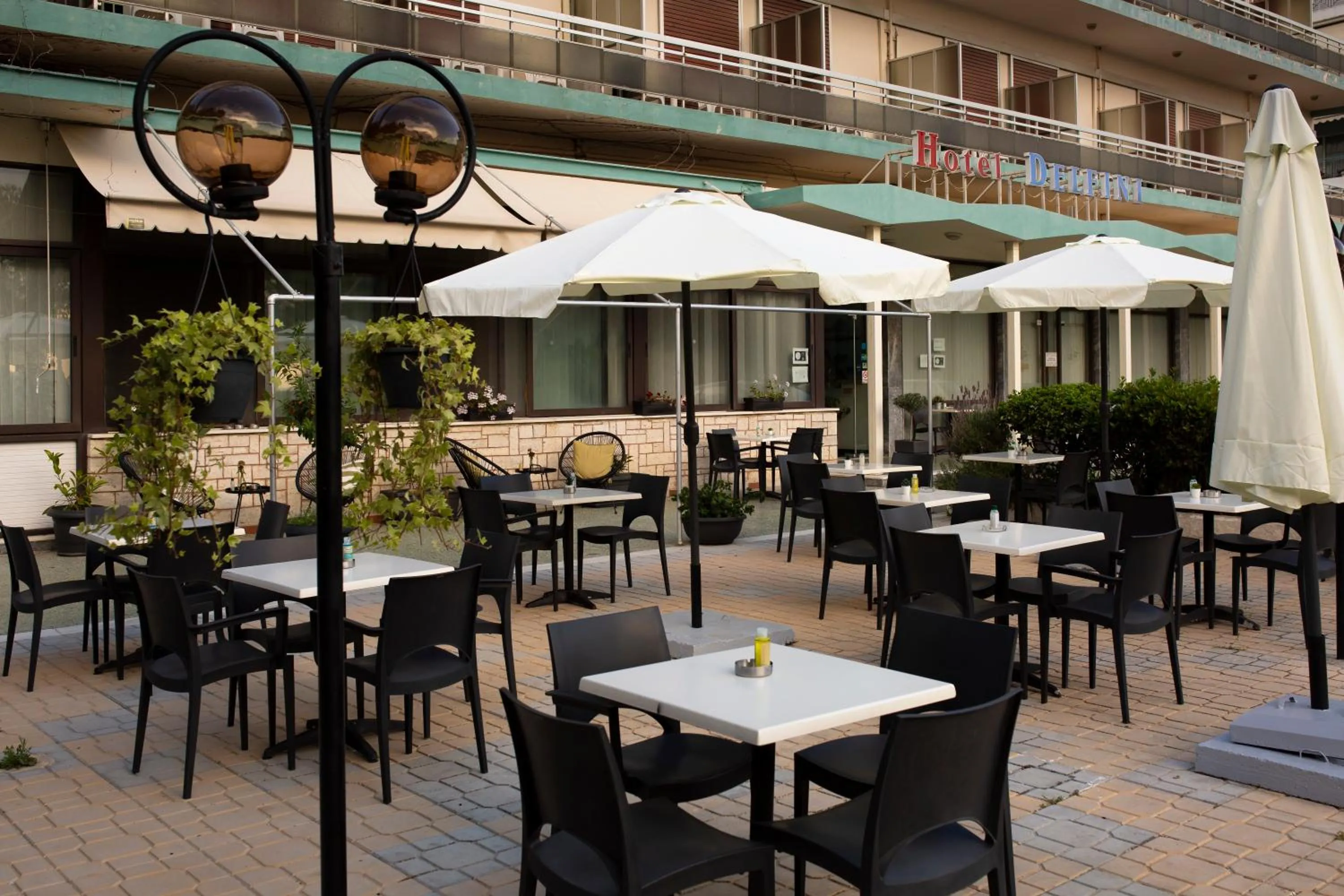 Garden in Delfini Hotel